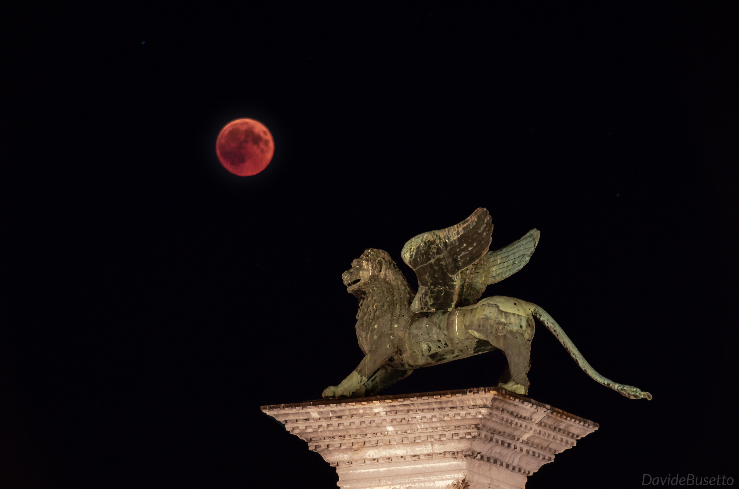 Il Leone e la Luna