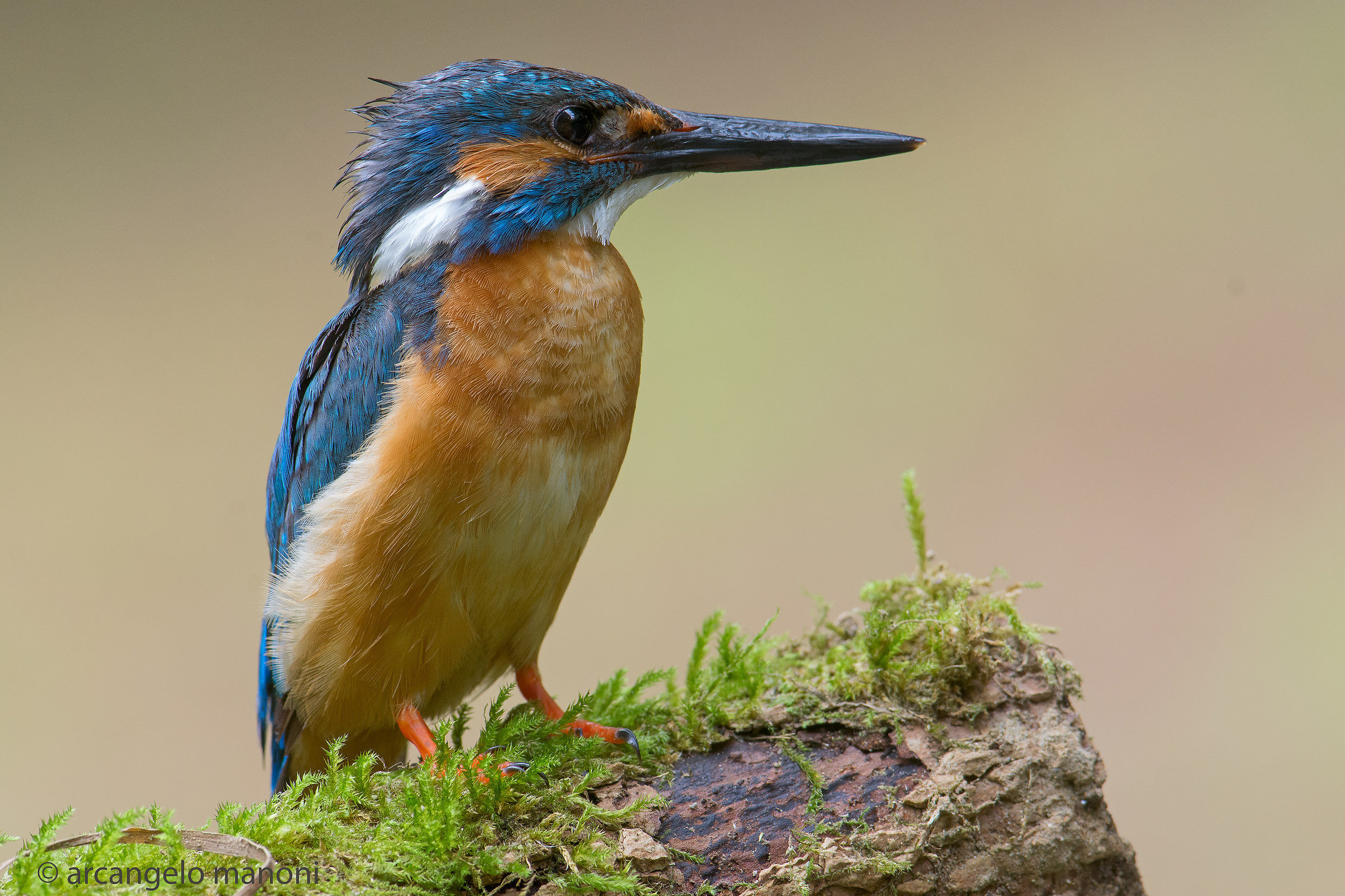 The creek in Your eyes