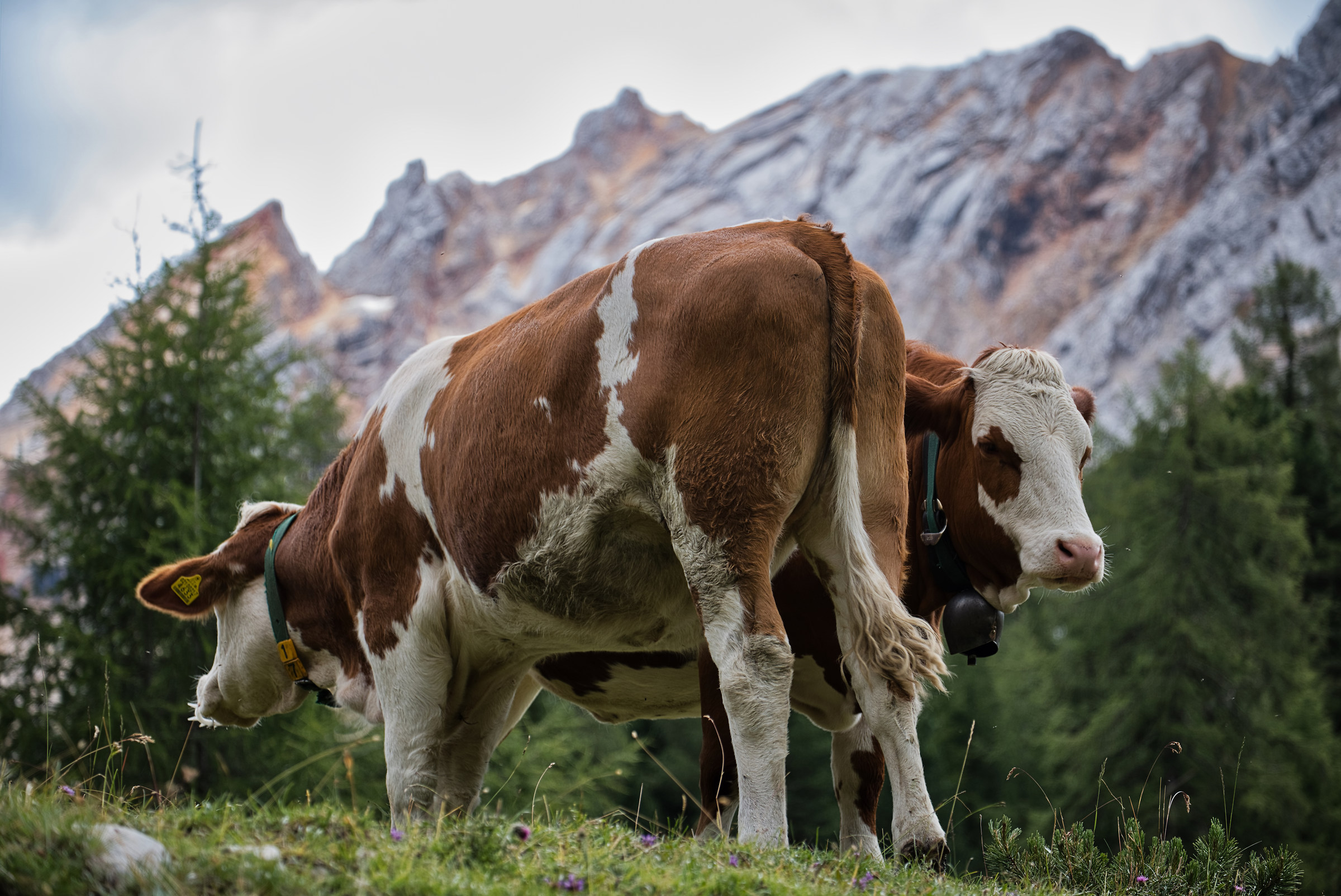 Parco Naturale del fanes