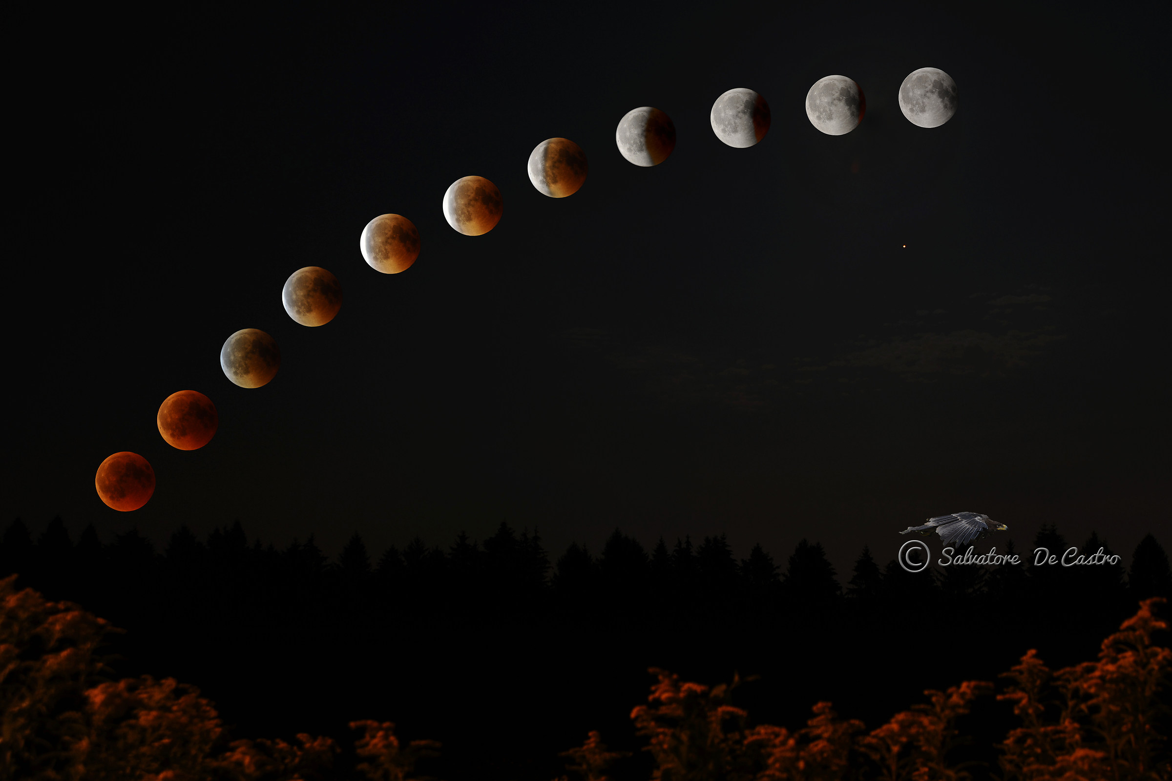 Eclissi con luna rossa