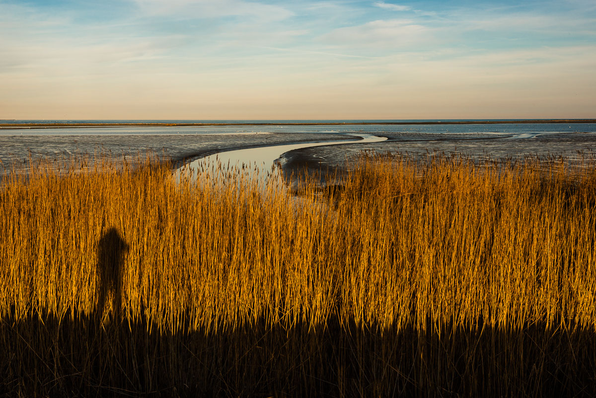 Shadows in the Delta