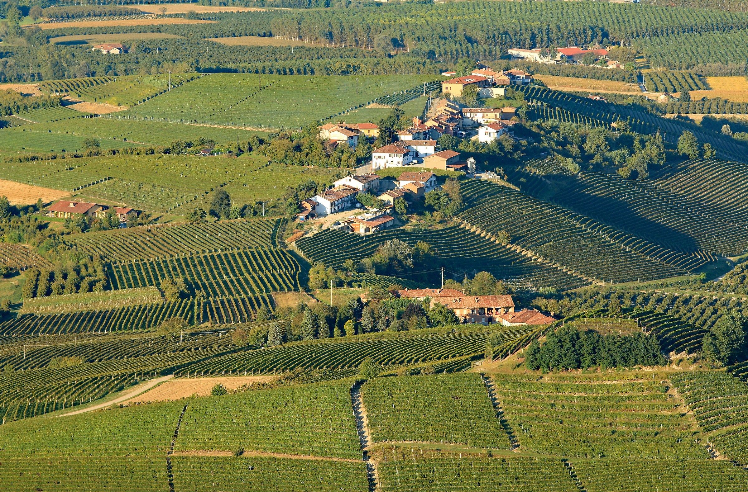 The Langhe of Barolo