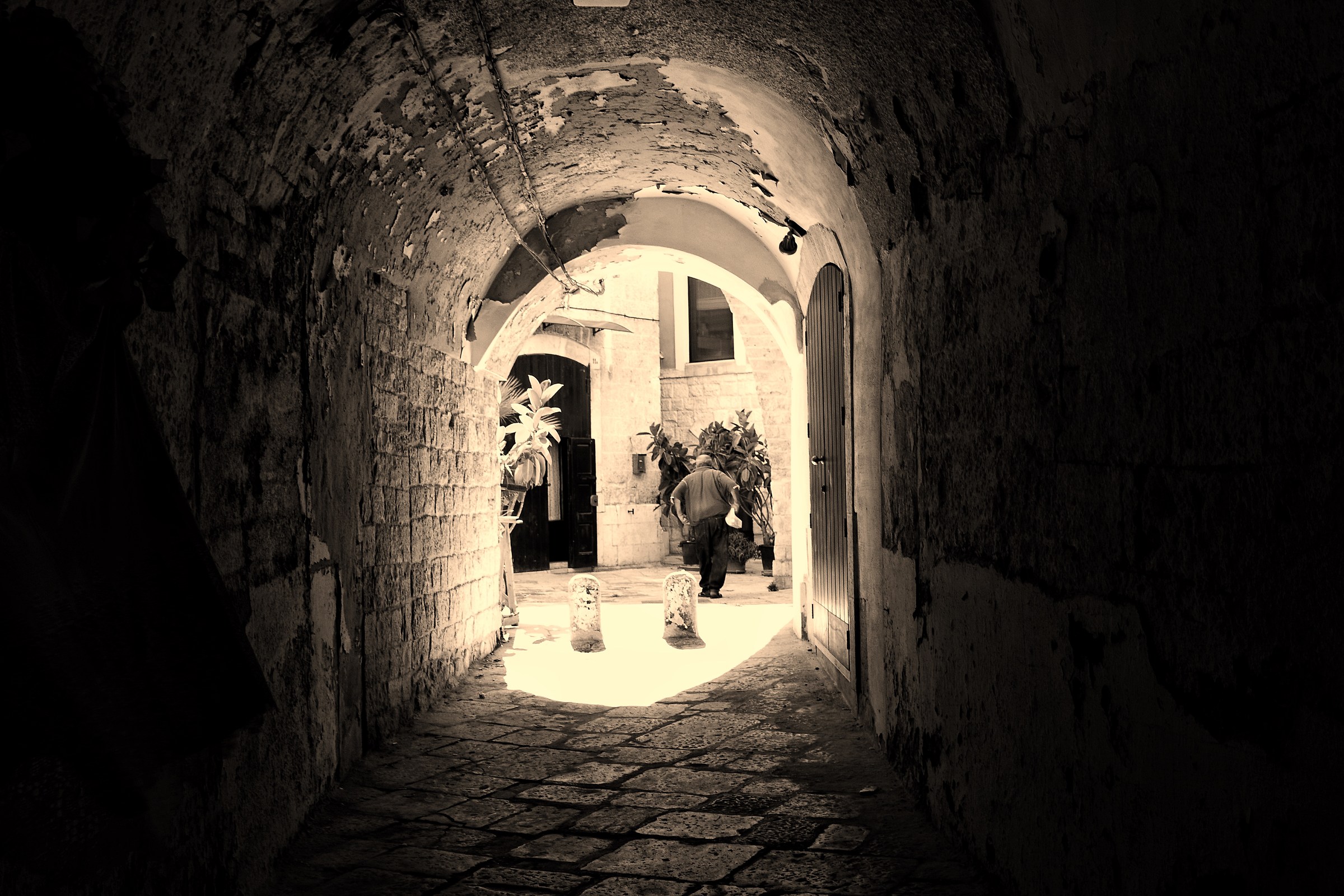 Il vecchio che avanza