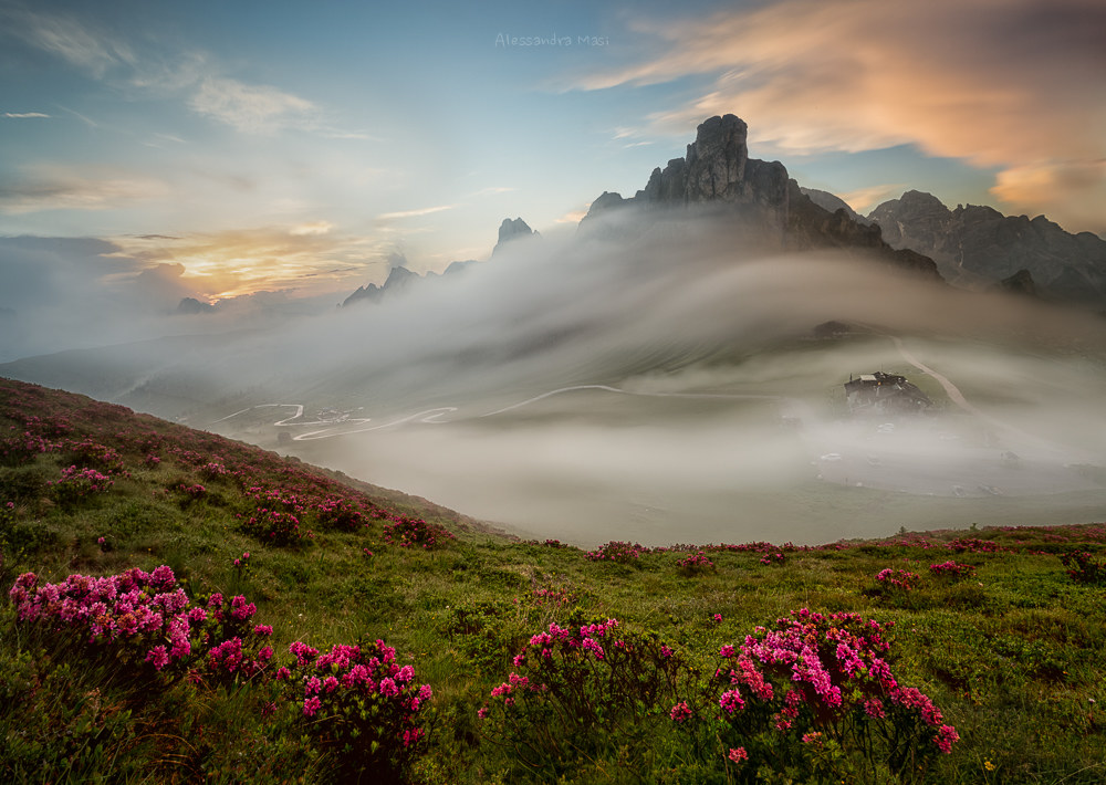 Walk in a flowery paradise