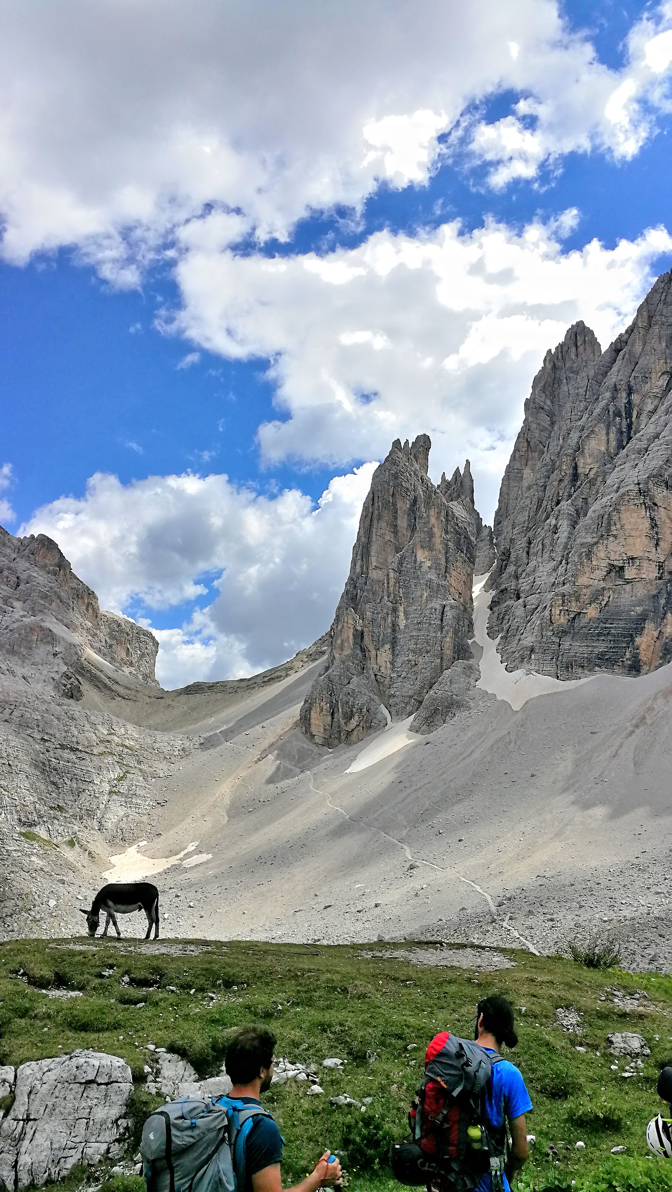 A donkey under the Croda
