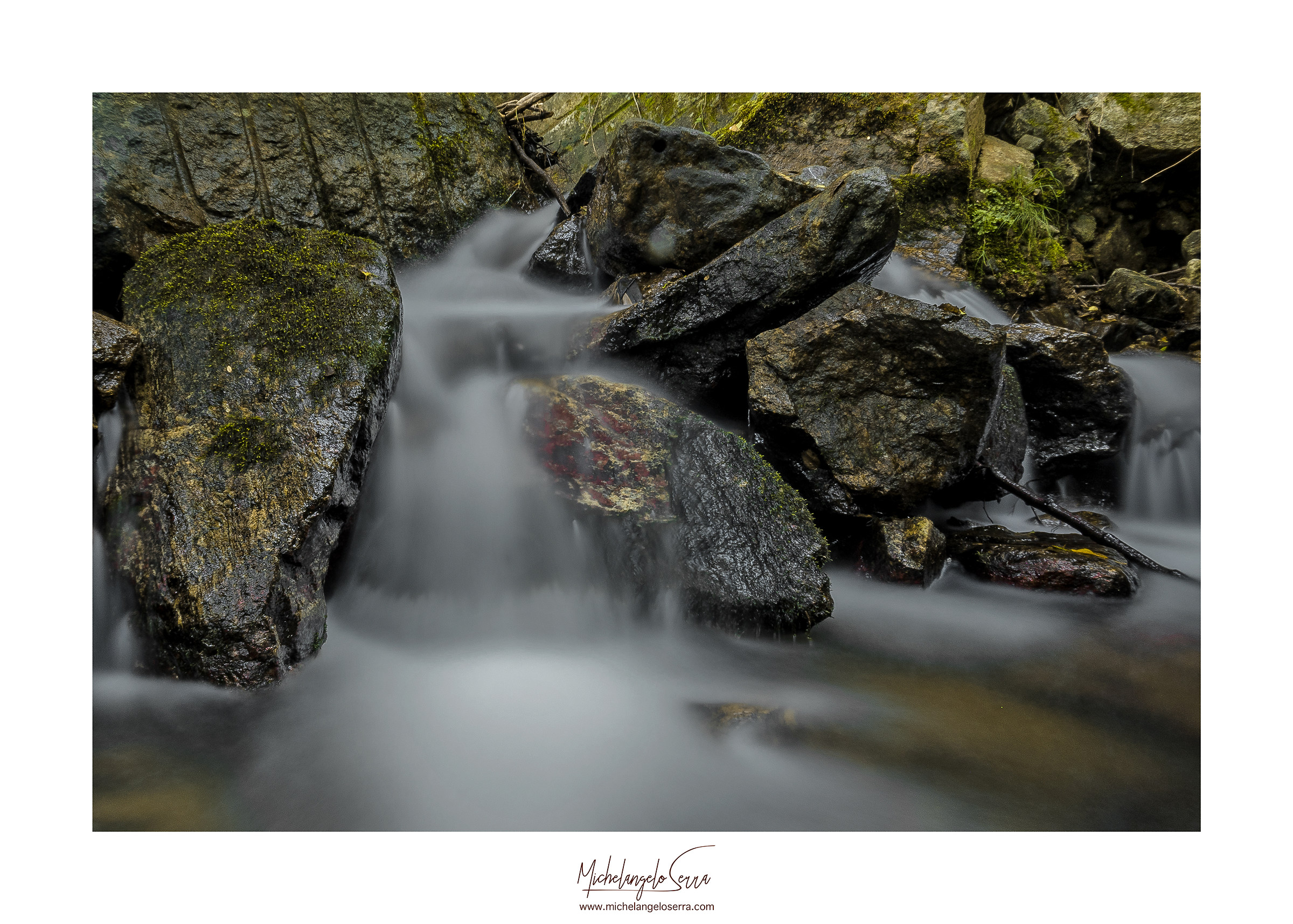 AC H2O  Wild Photo Campus