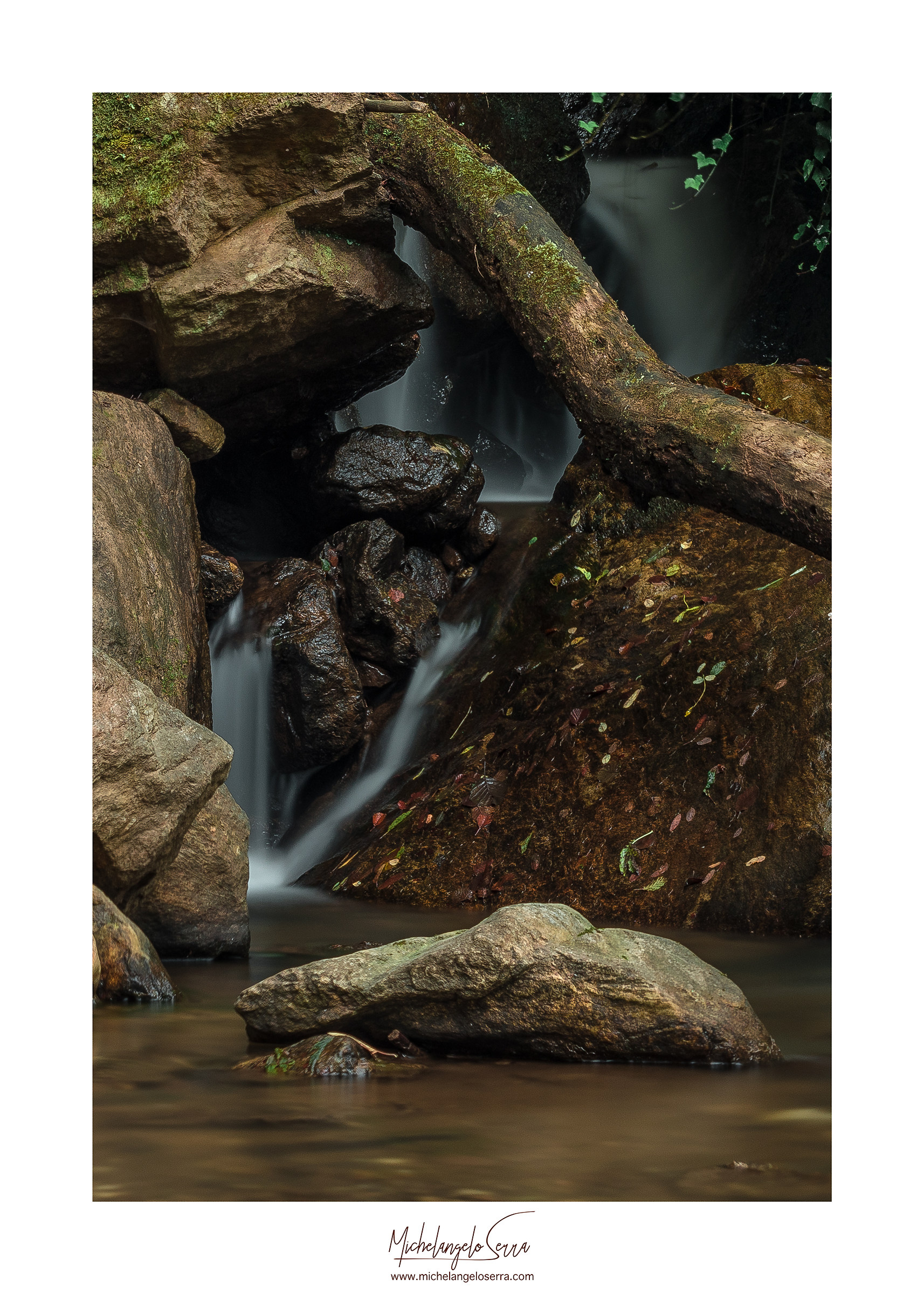 AC H2O  Wild Photo Campus 2