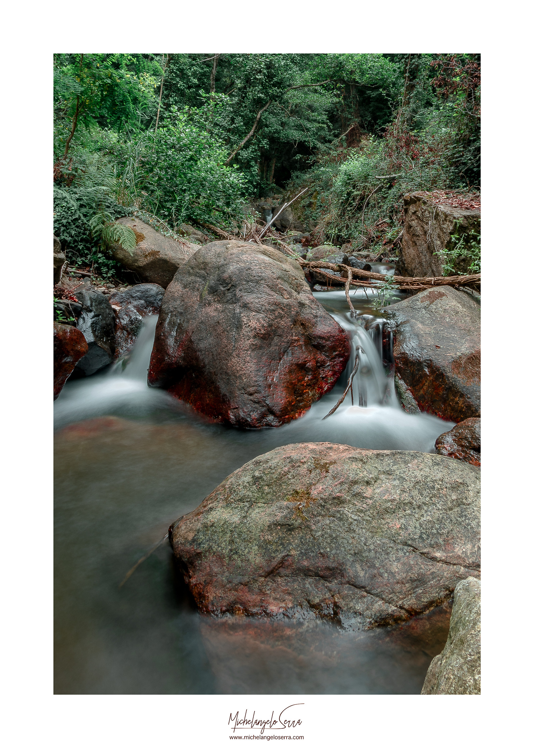 AC H2O  Wild Photo Campus 3