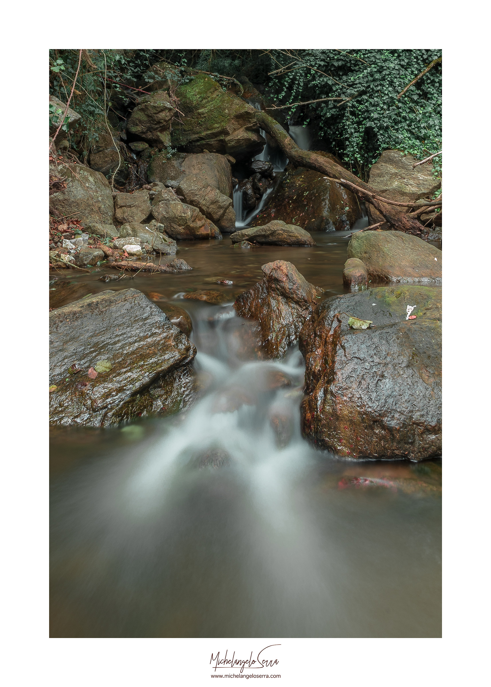 AC H2O  Wild Photo Campus 4