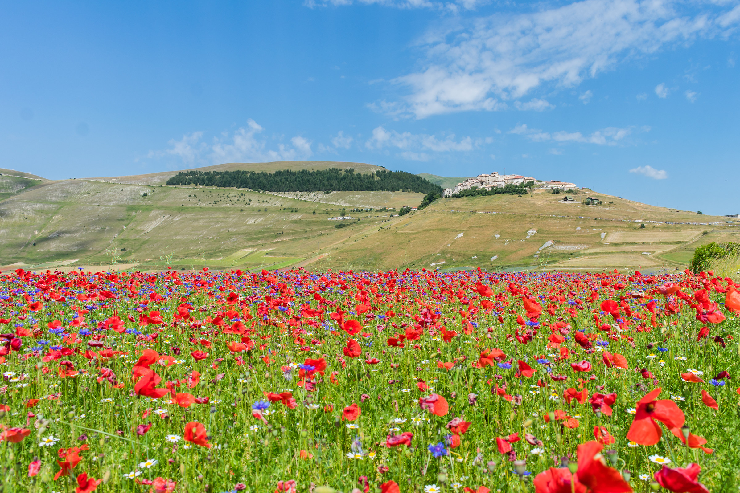 Castelluccio di Norcia
