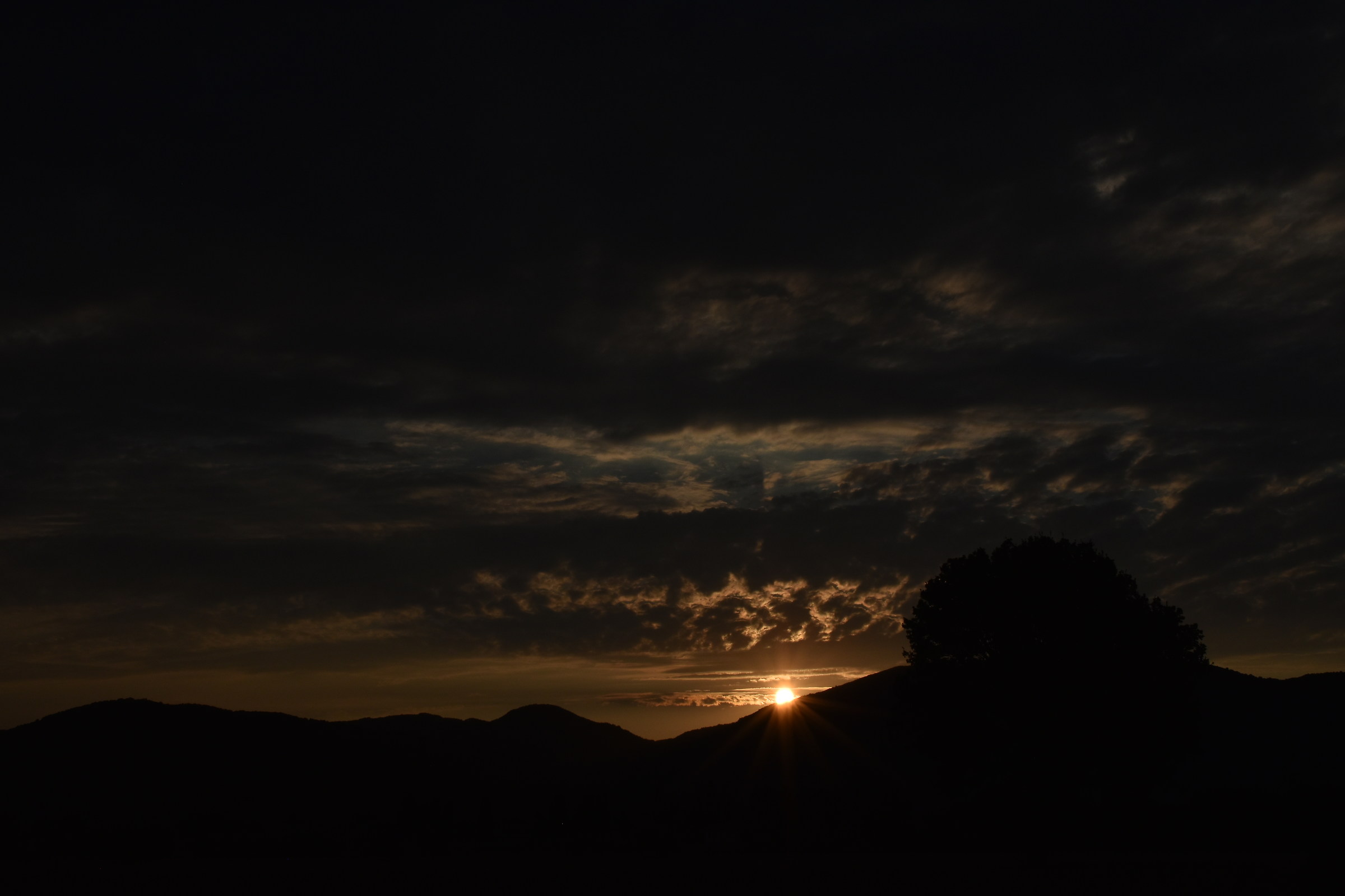 Untitled Photo