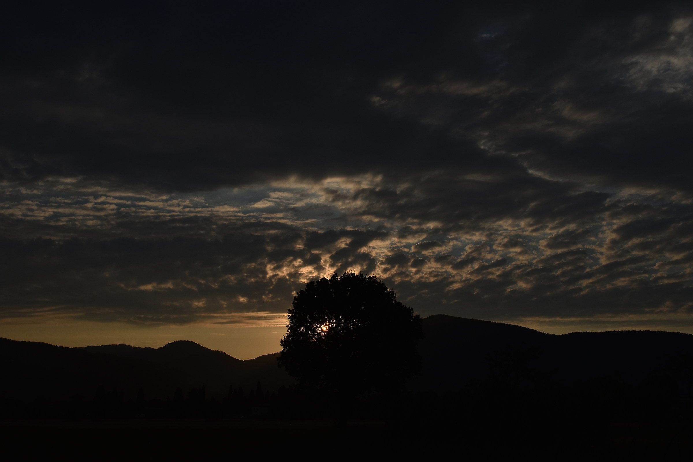 Untitled Photo