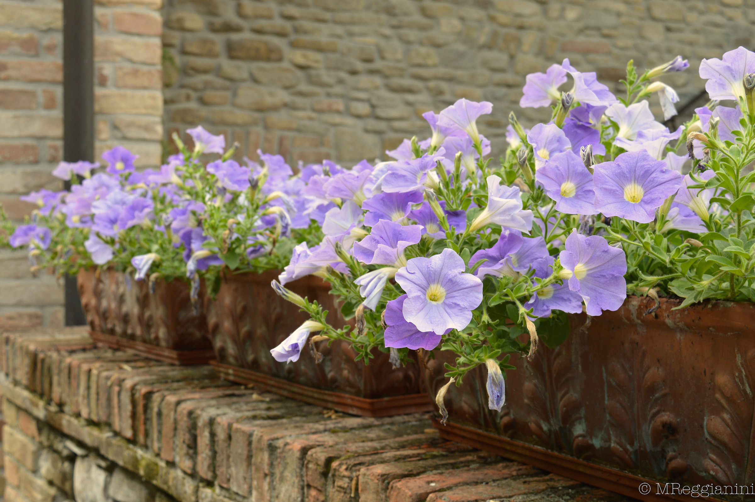 In the shade of July