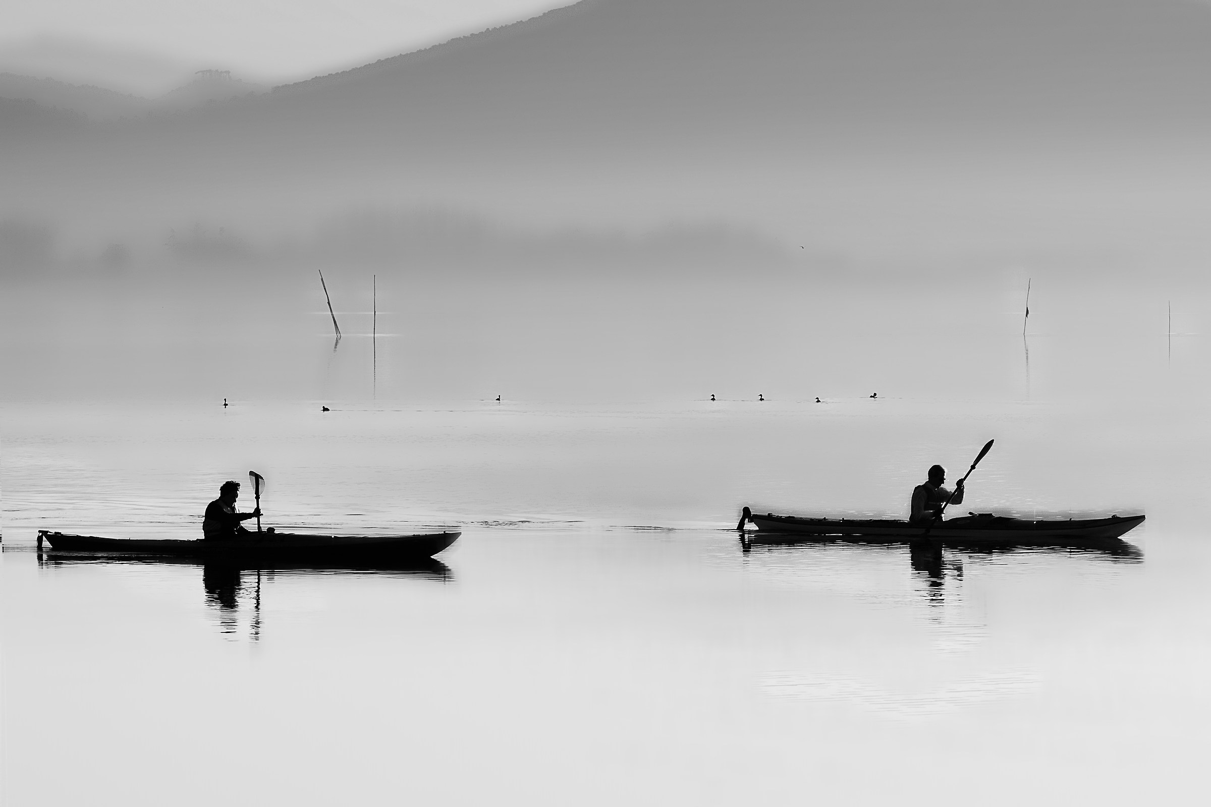 lago trasimeno le canoe