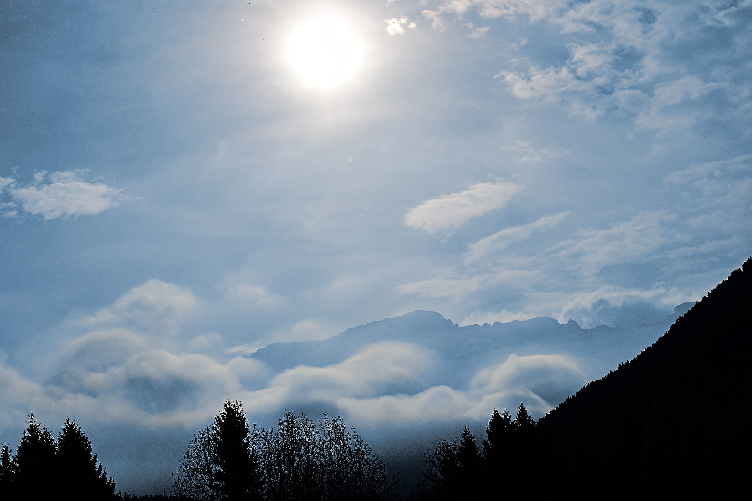 Una Civetta tra le nuvole