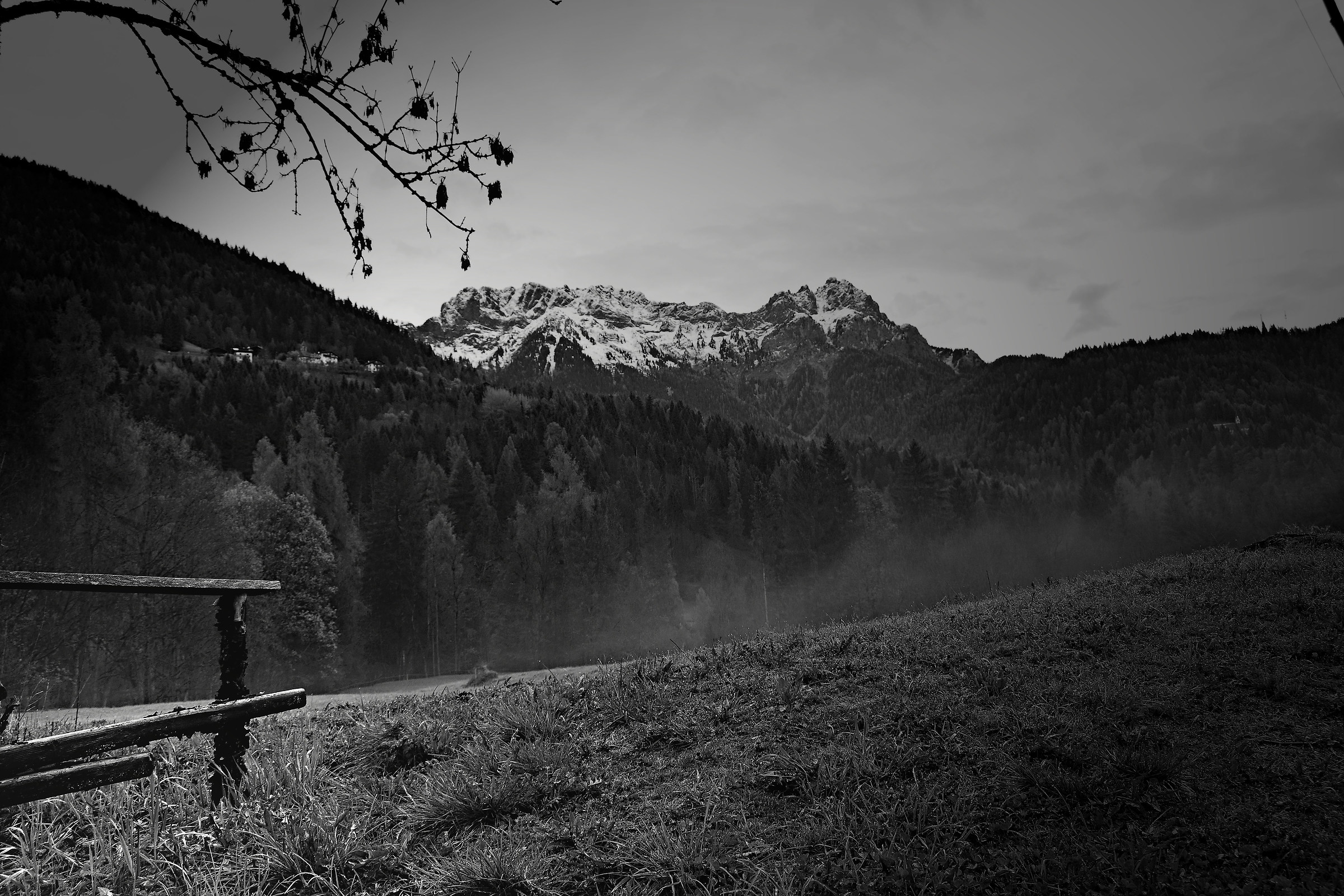 Quando la natura è triste