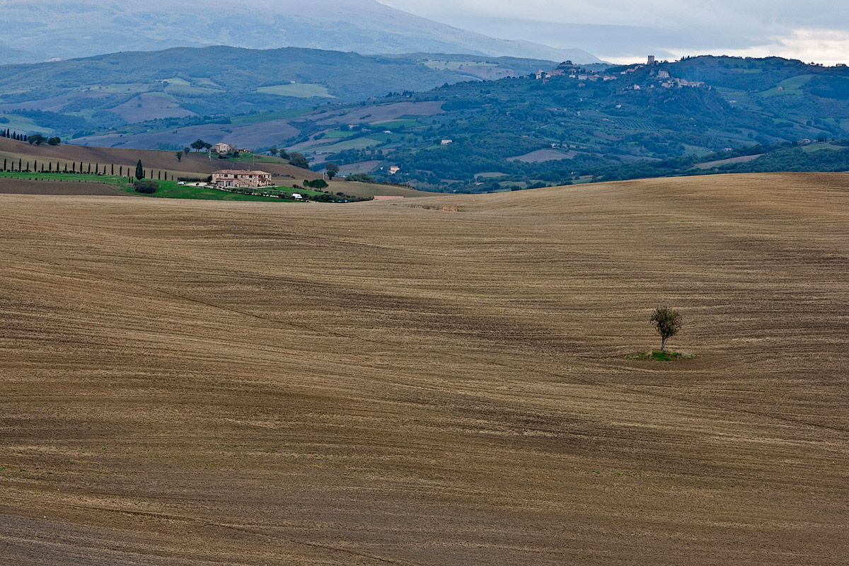 Terre di Toscana
