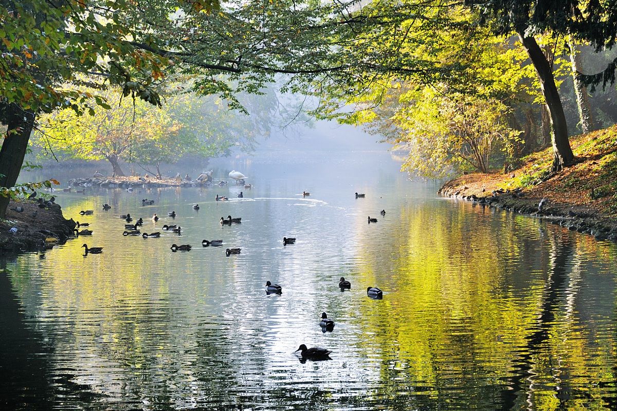 Laghetto in Villa Reale