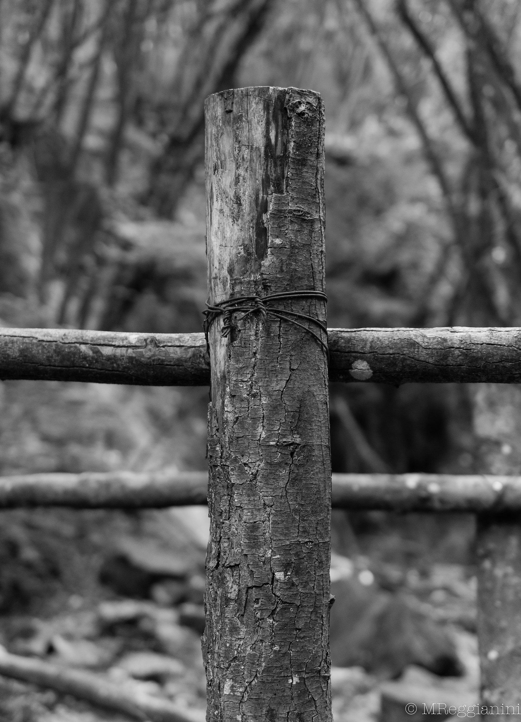 Geometrie inaspettate