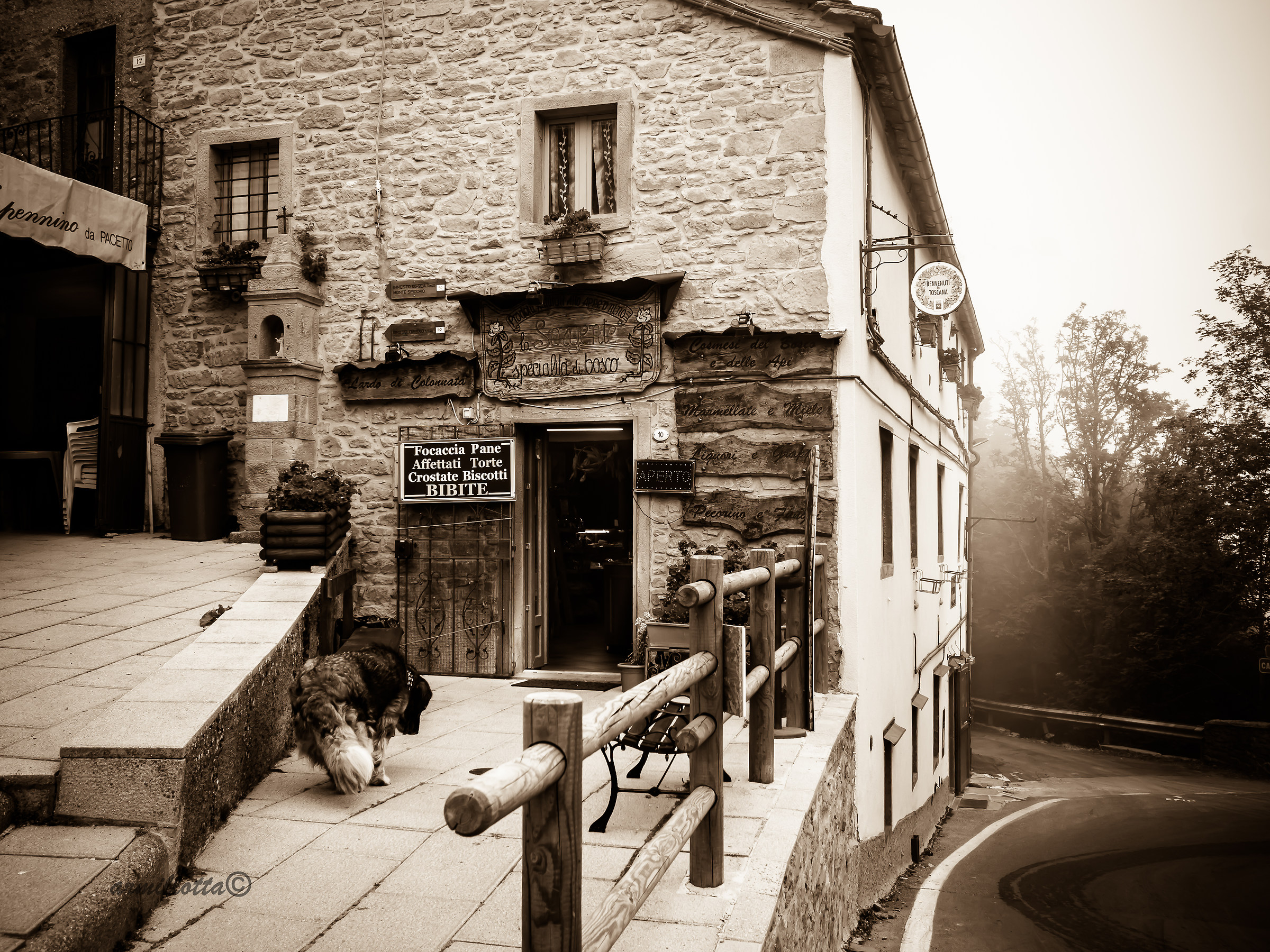 San Pellegrino in Alpe..scorcio