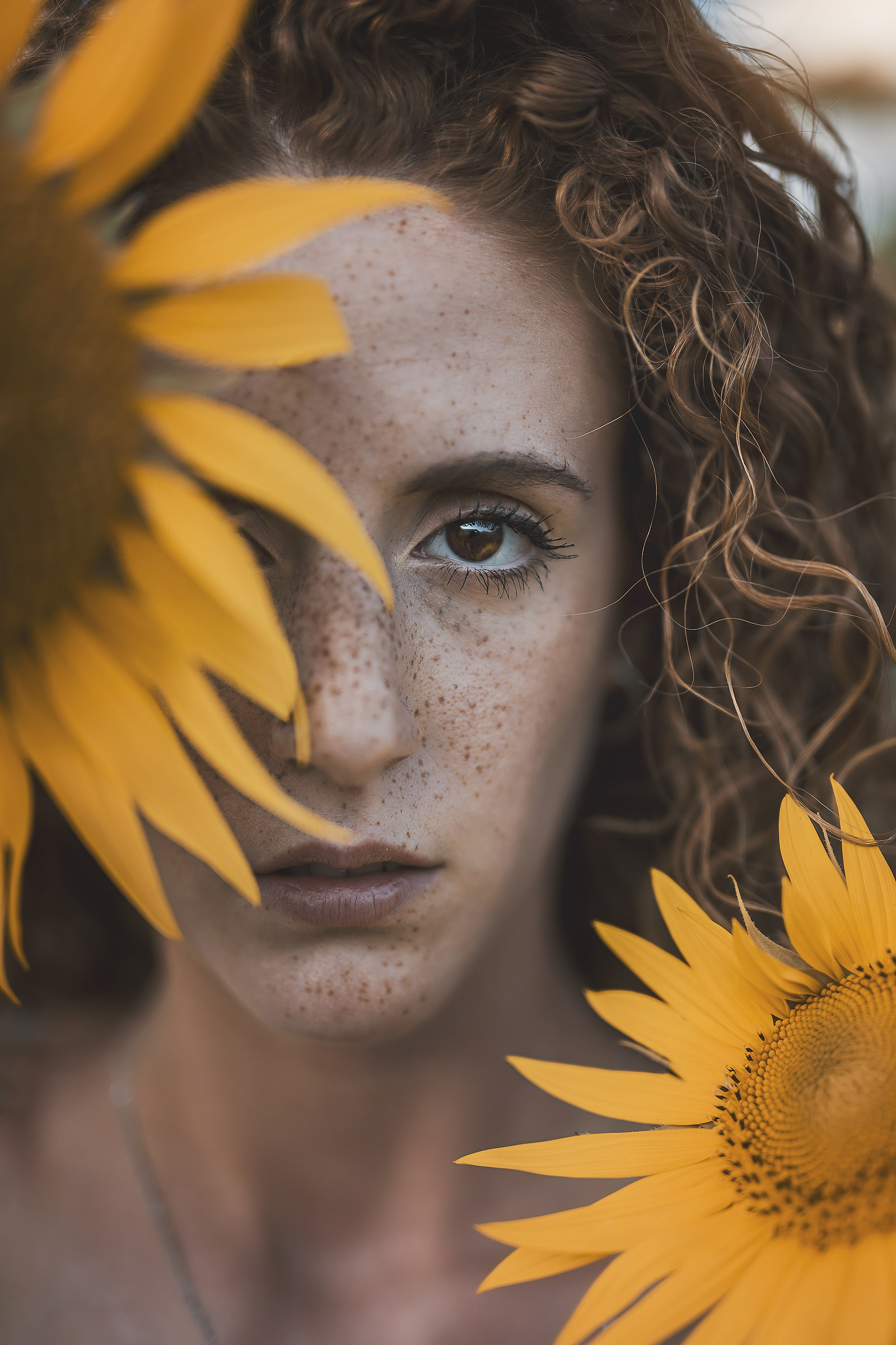 Sunflowers & Freckles