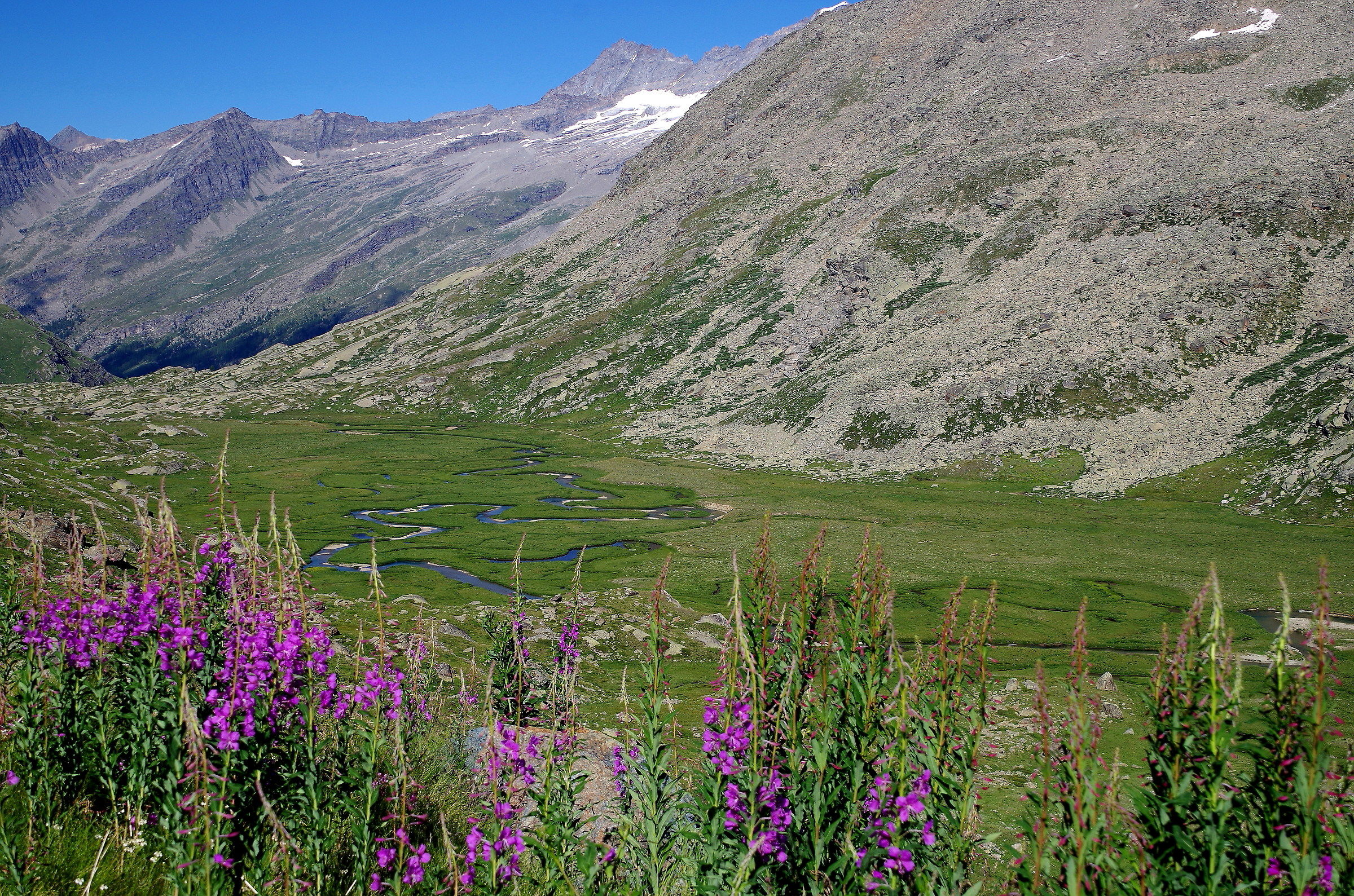 The plan of the Nivolet