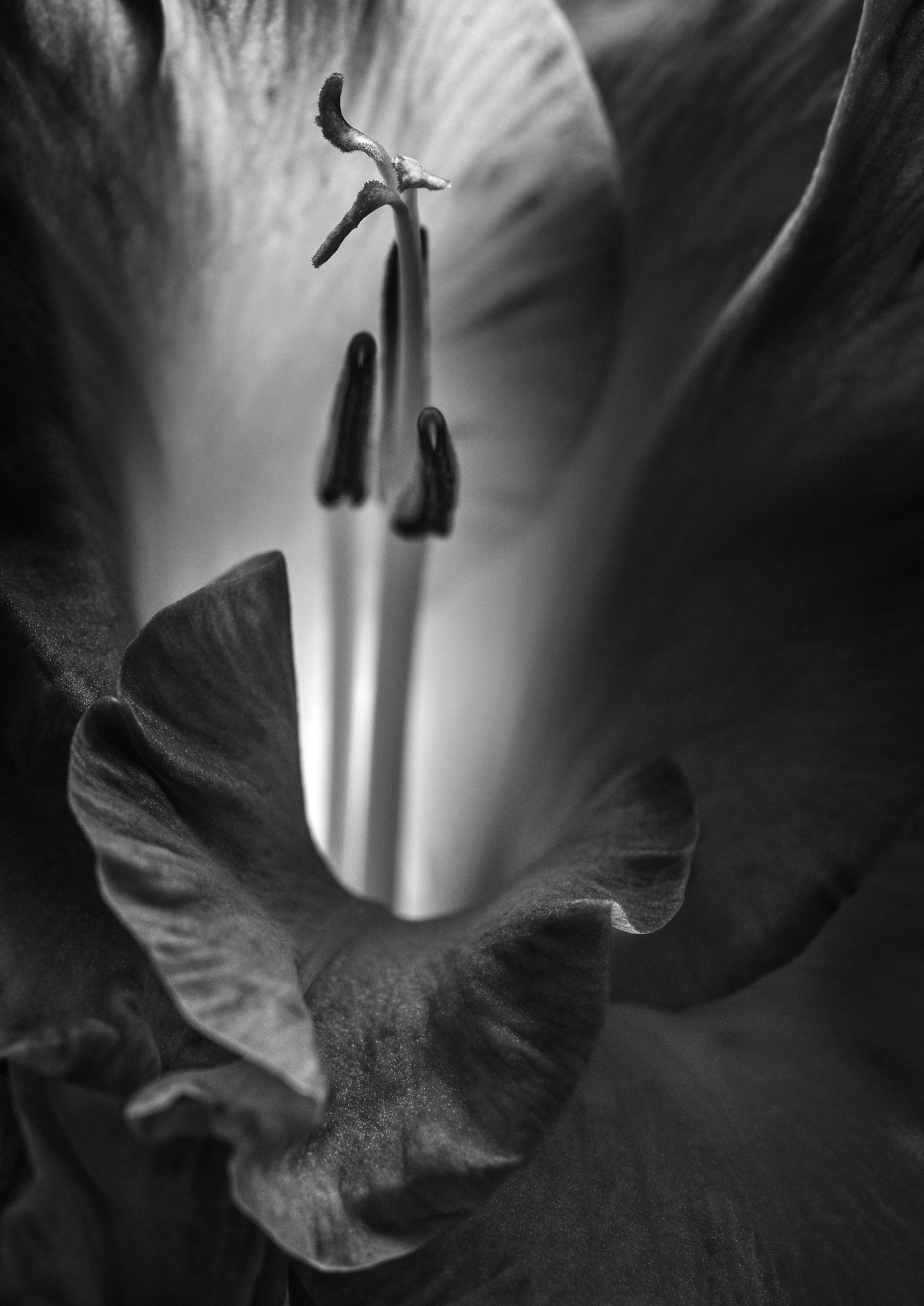 Emerging From An Inner Light