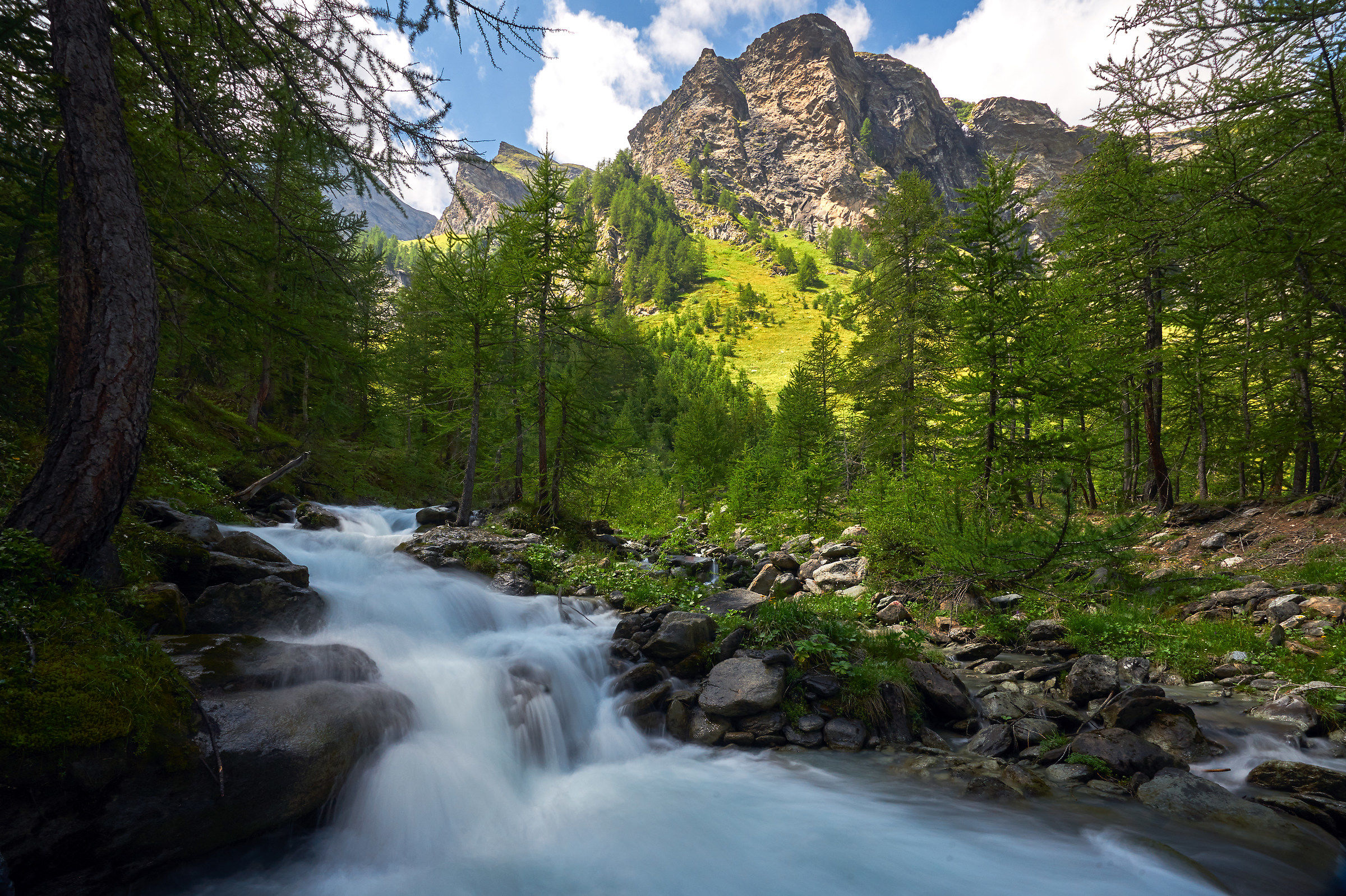 Pian della mussa luglio 2018