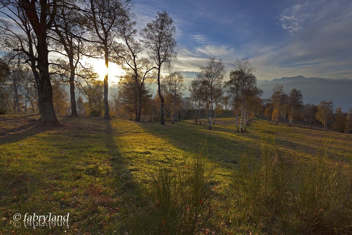 semplicemente autunno