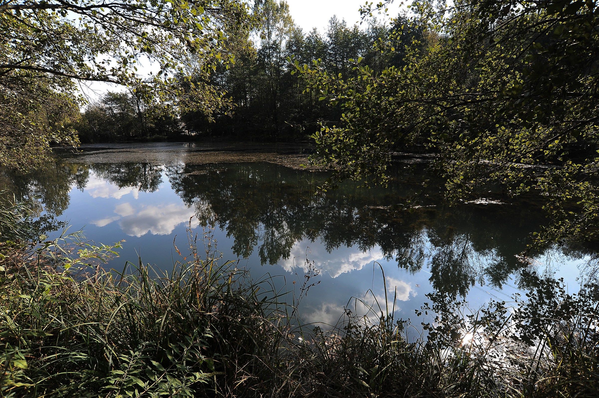 Lake in the Area of the brooms of Oleggio