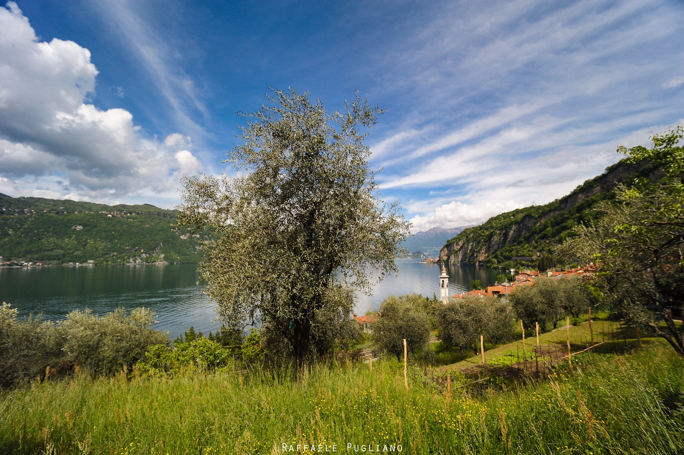 Olcio - Lago di Como