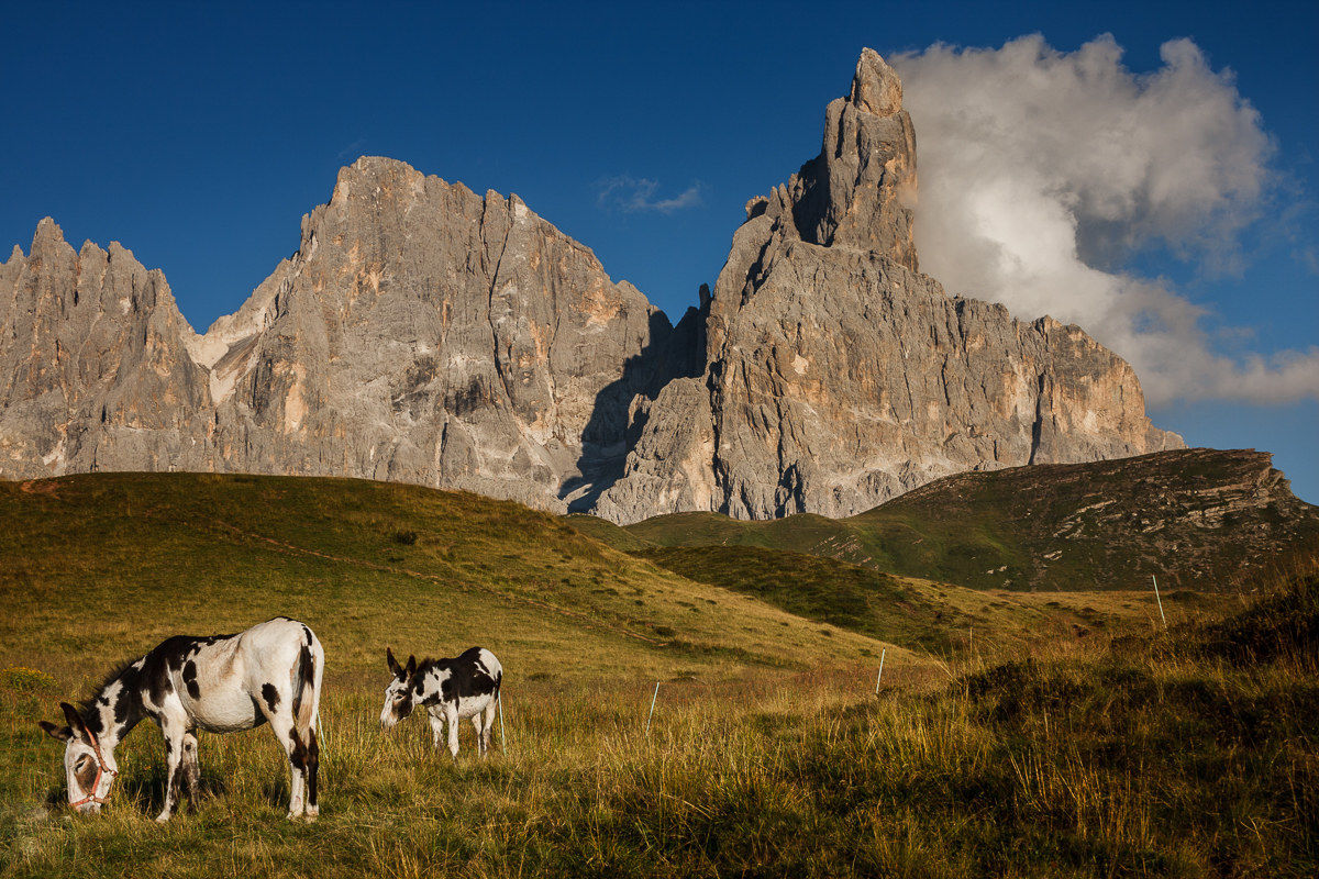Under the Pale of St. Martin...