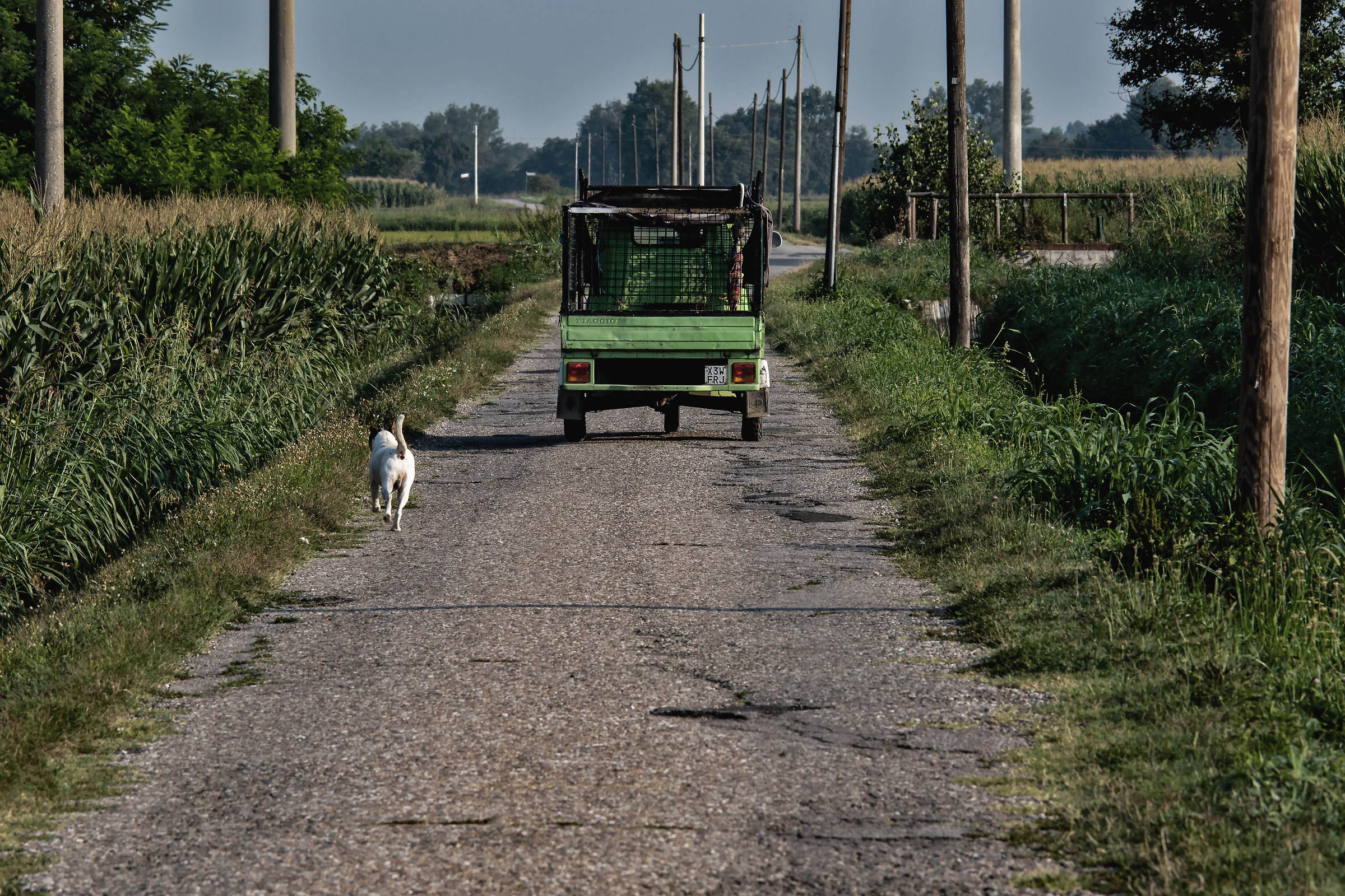 Fammi salire che fa caldo