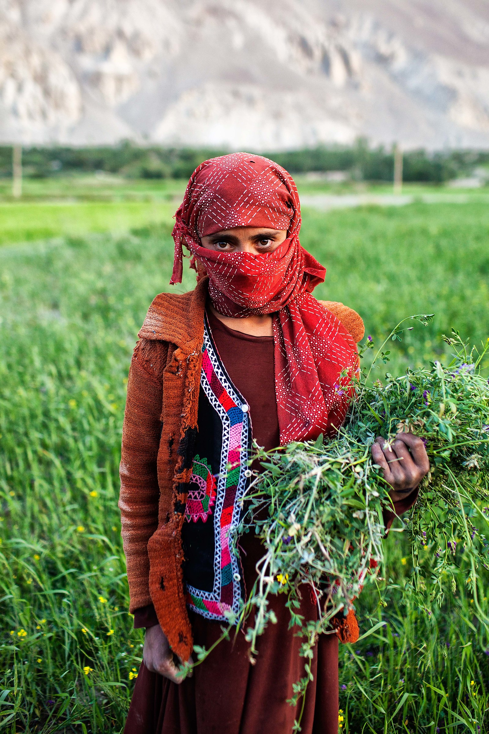Wakhi girl, Badakhshan province, Afghanistan.