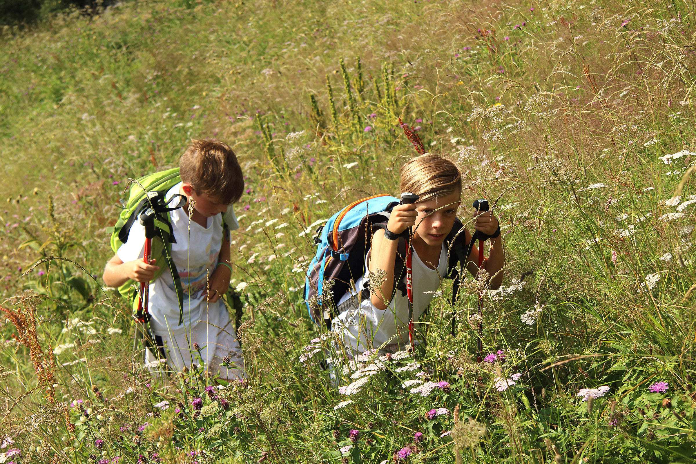 The grandchildren at 1,800 m flowed