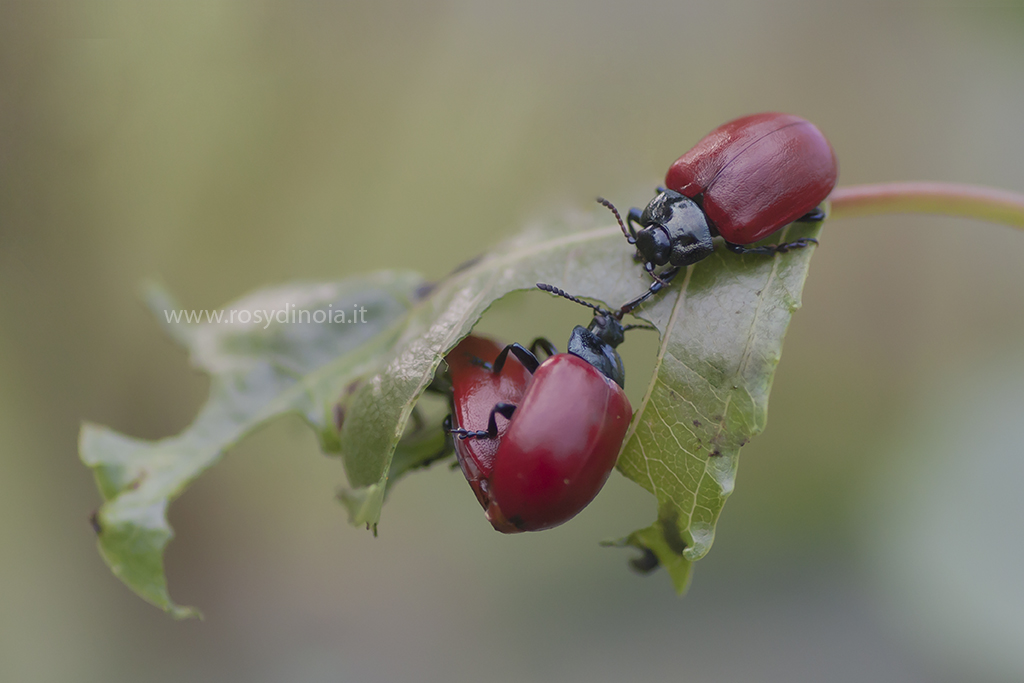 Me, him and the other