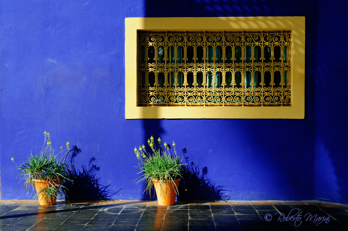 Majorelle Gardens