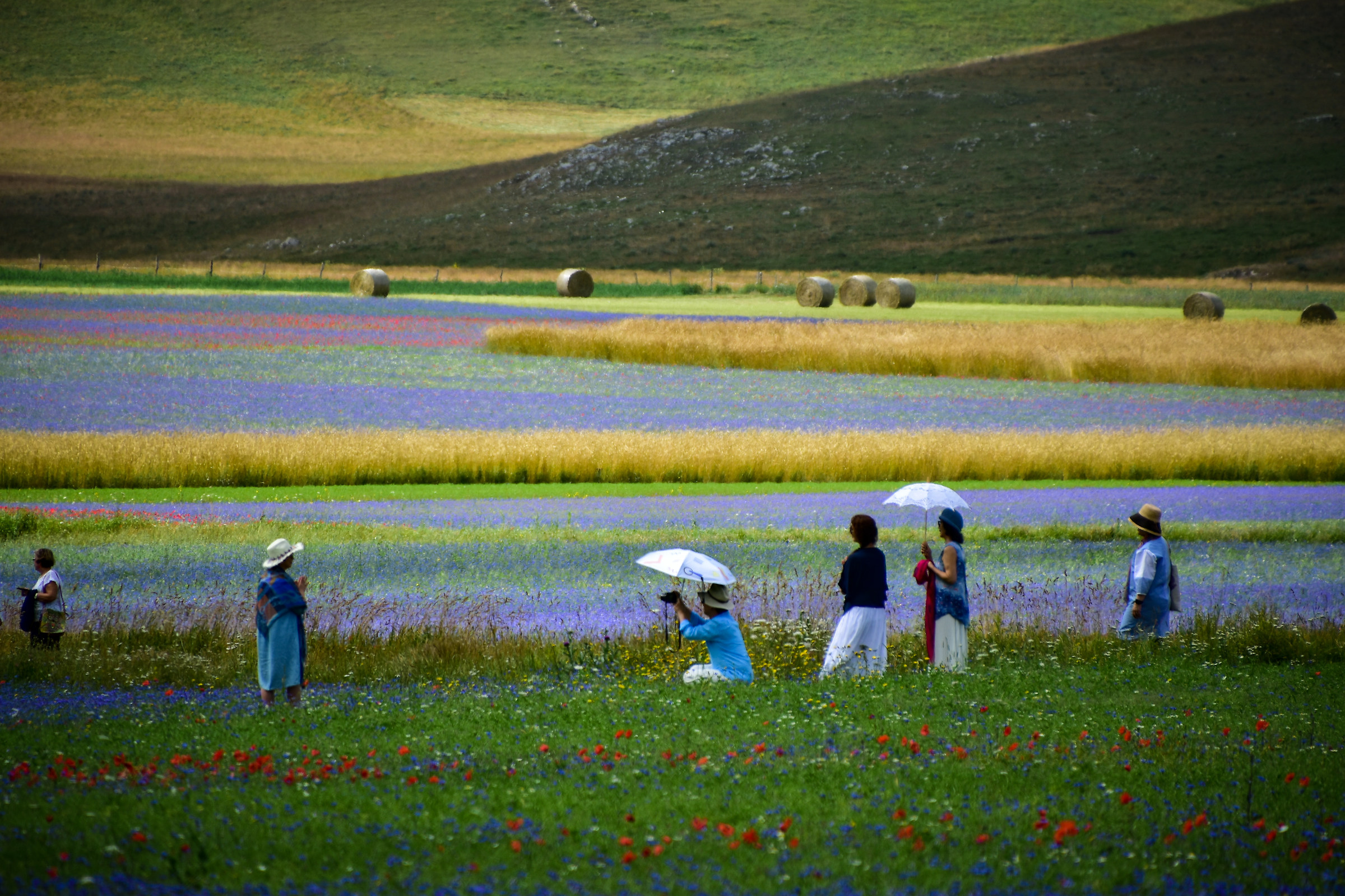 Posando per la fioritura