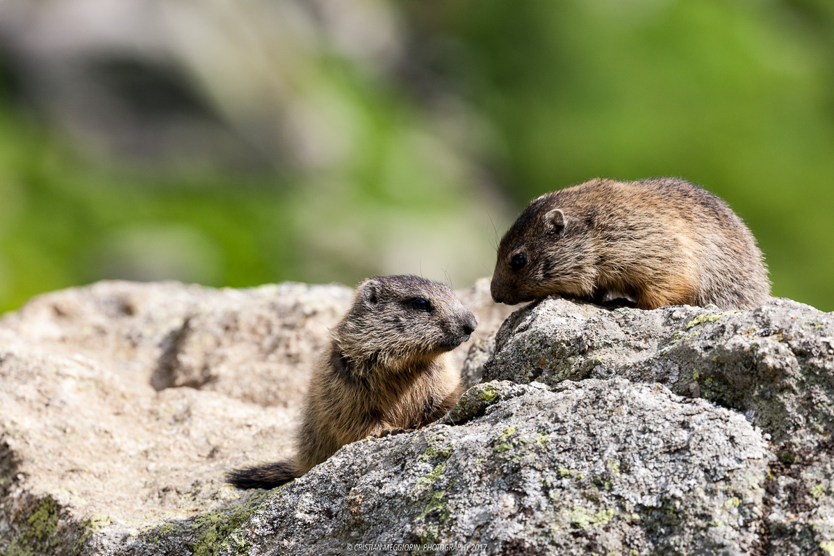 Sometimes you just need a look