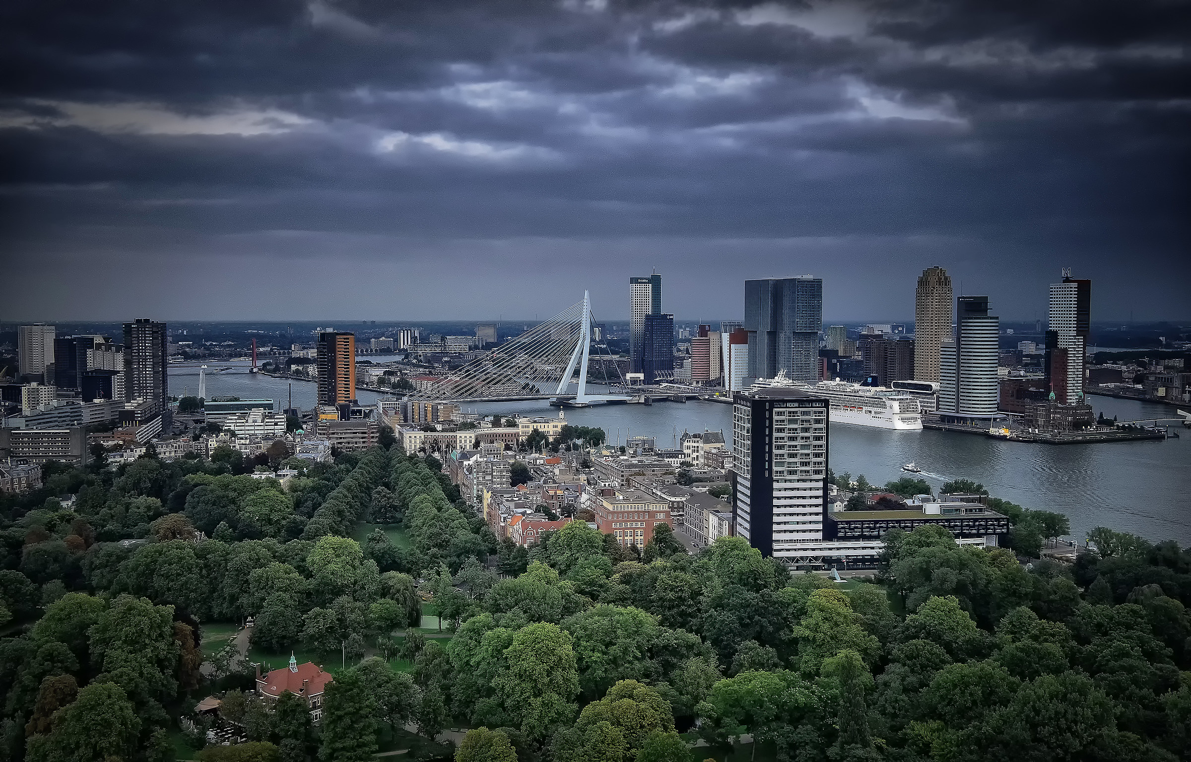Sotto il cielo di Rotterdam