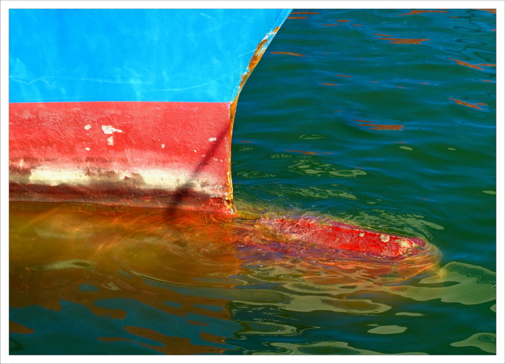 Snooping on the pier... _ 2