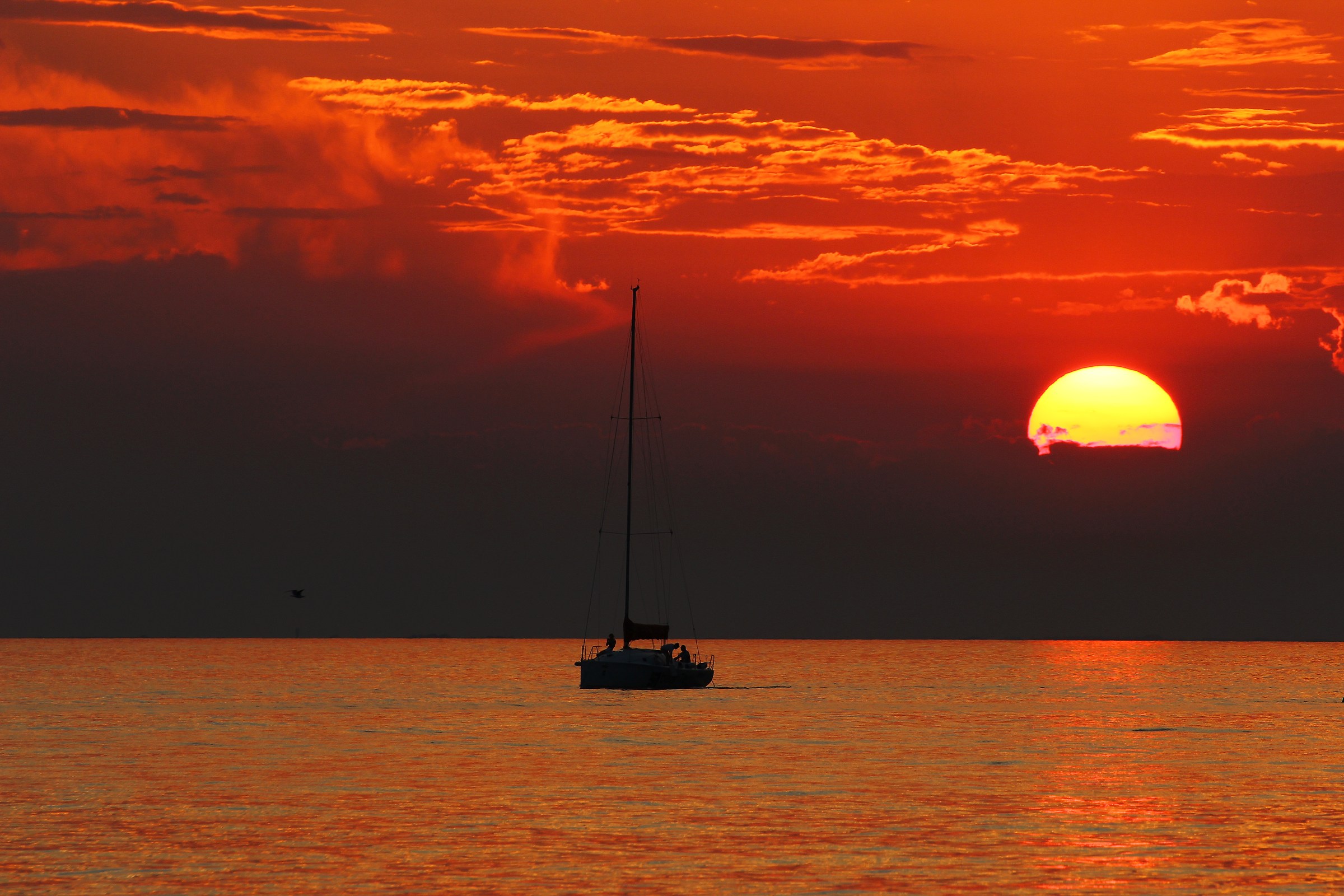 Latest Lights Northeast