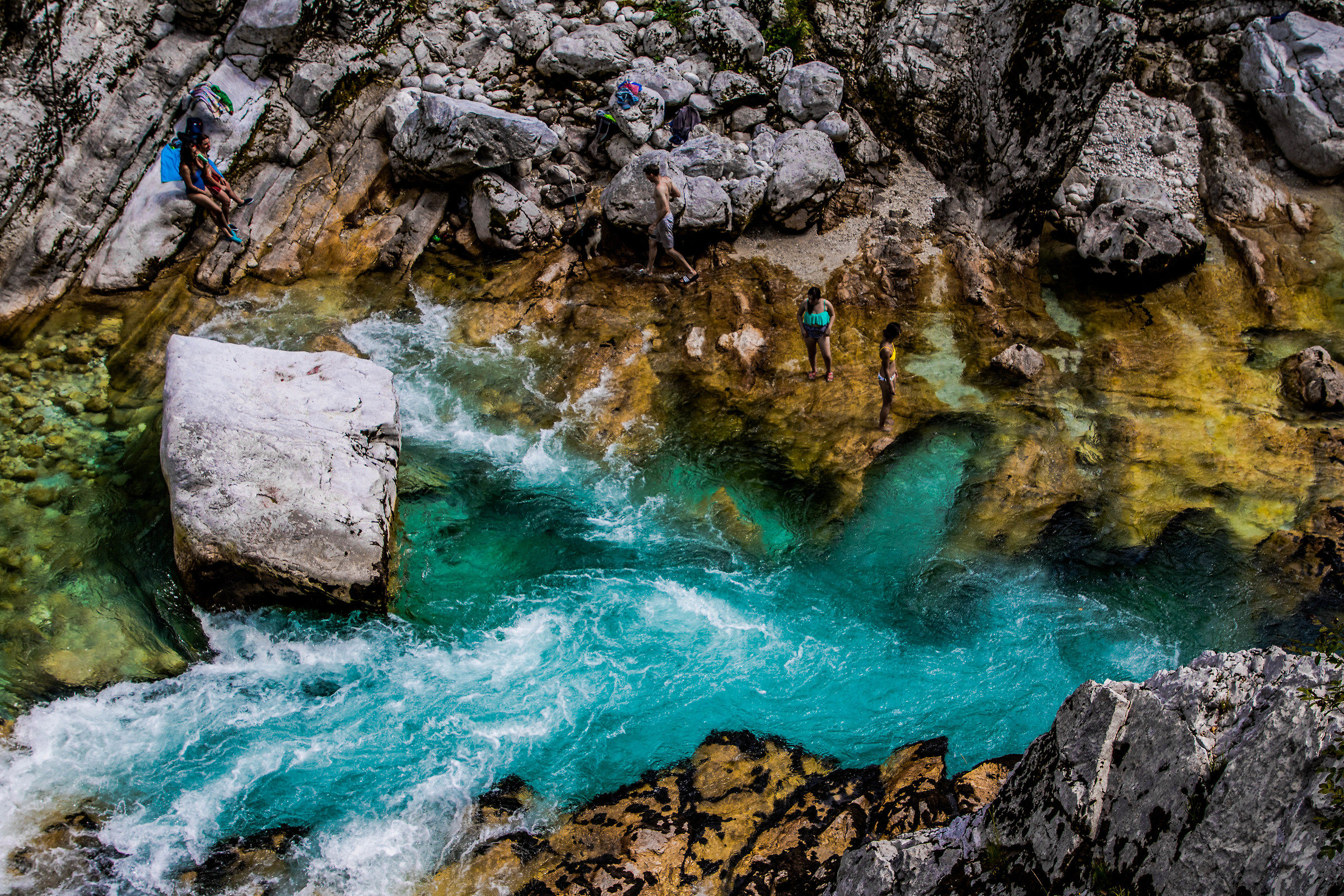 Alla ricerca del fresco...