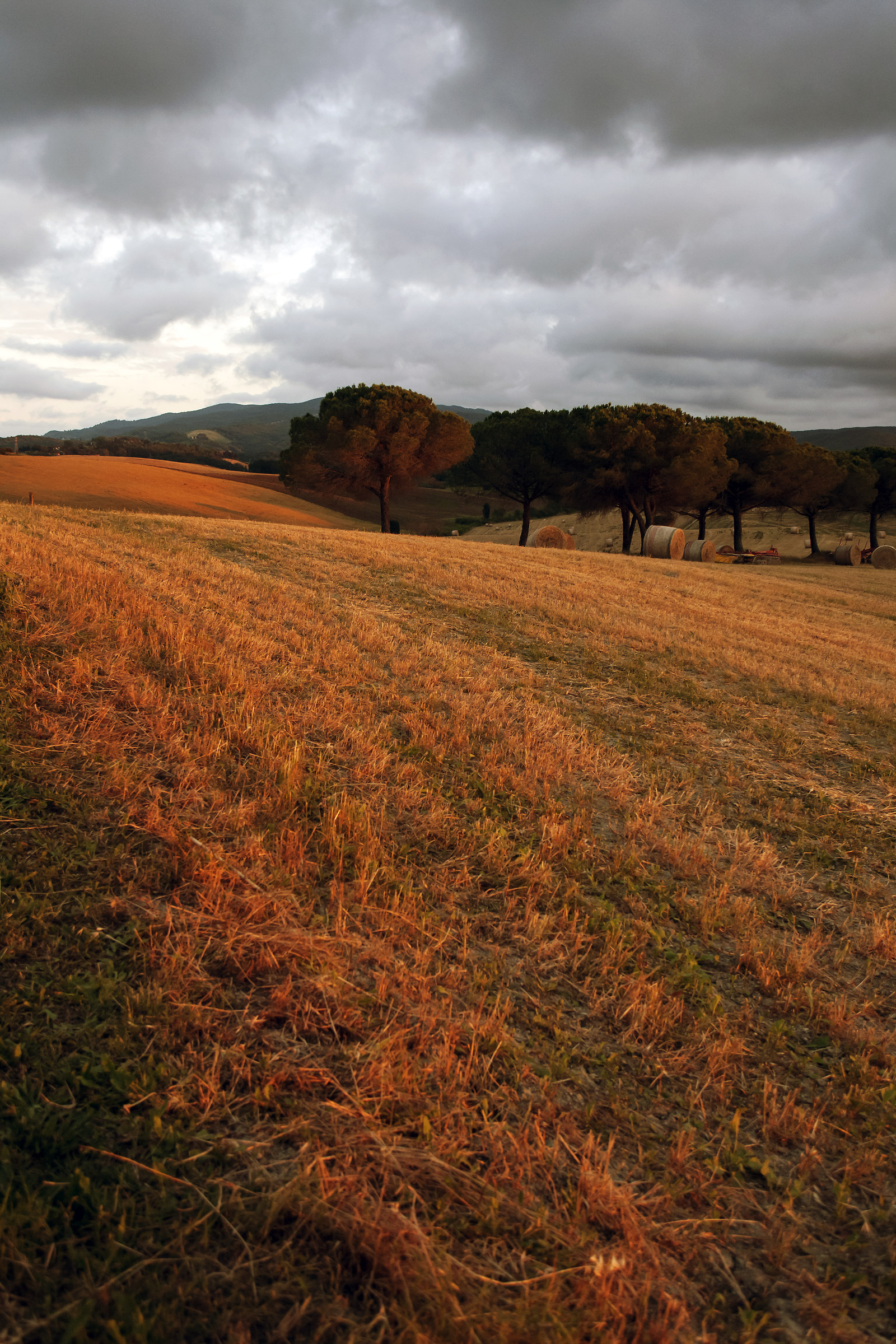 Tuscan Countryside at sunset