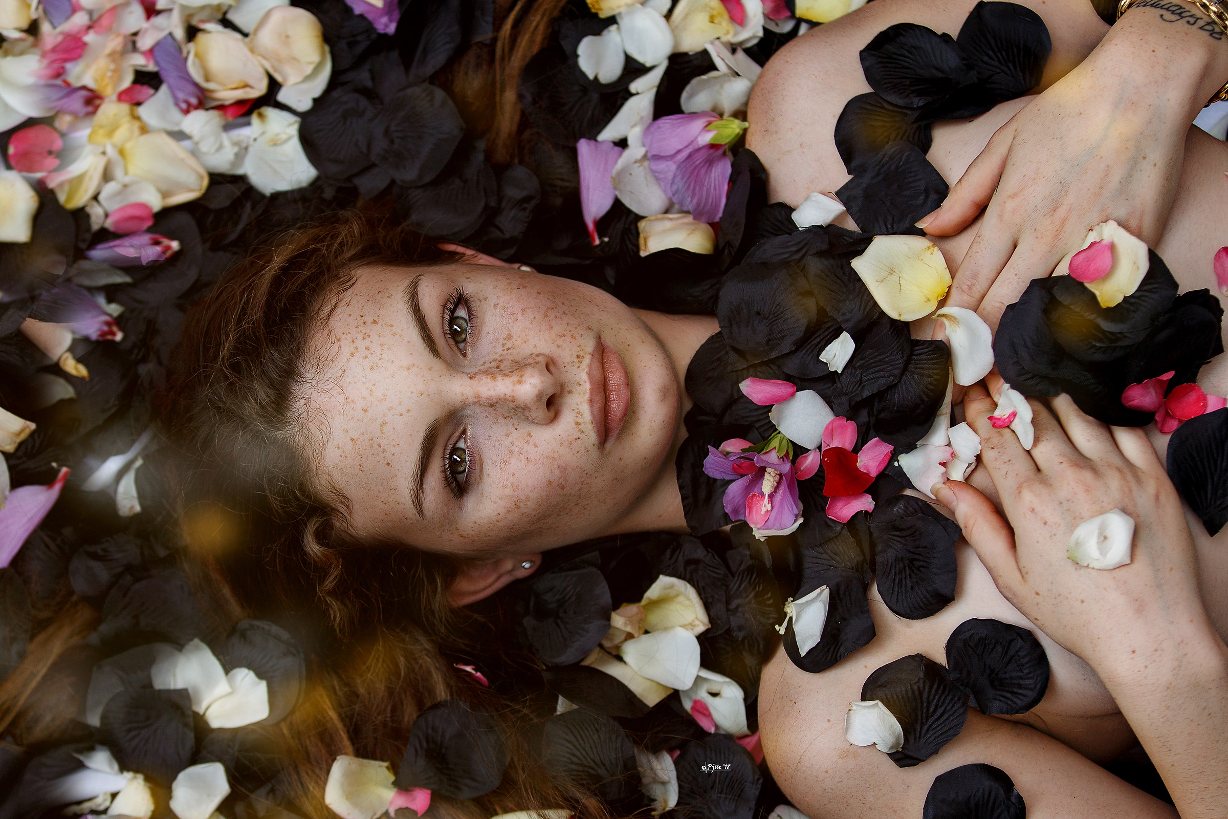 Colors of the summer