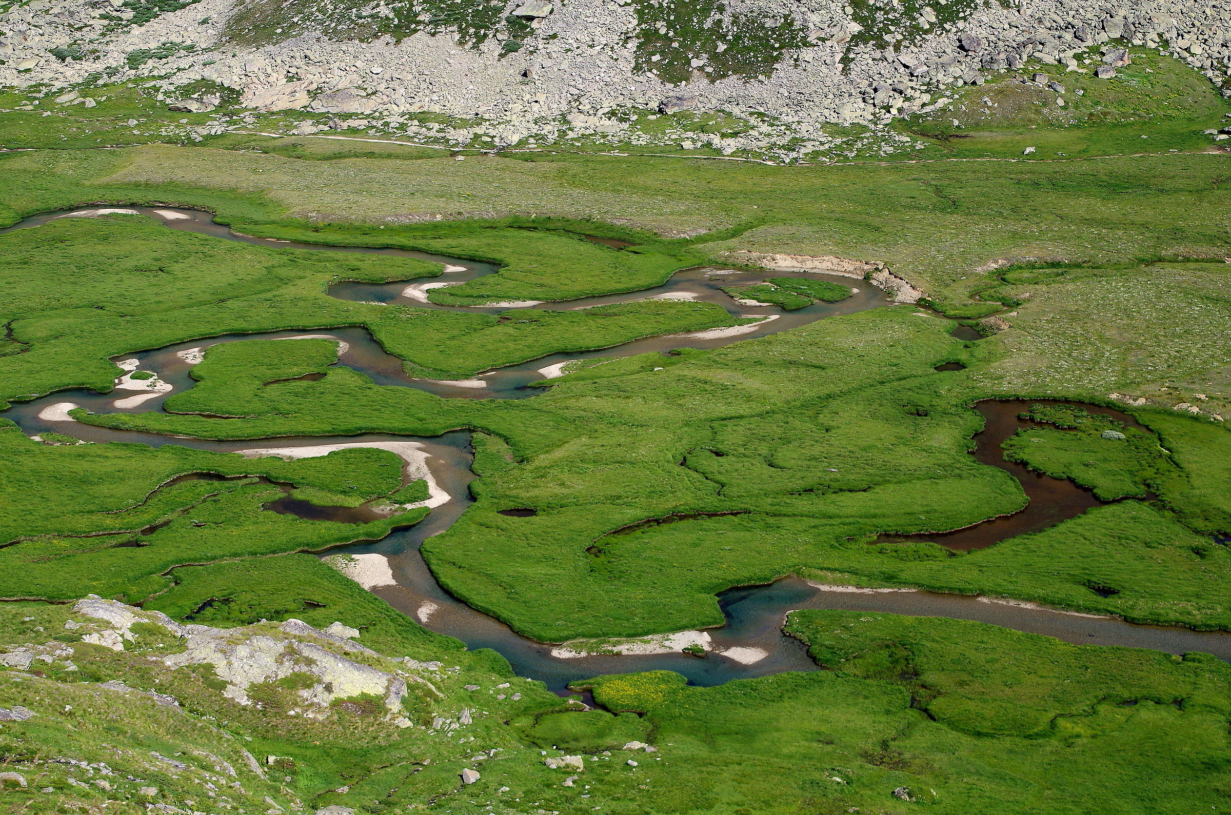 The creek in the plane of the Nivolet