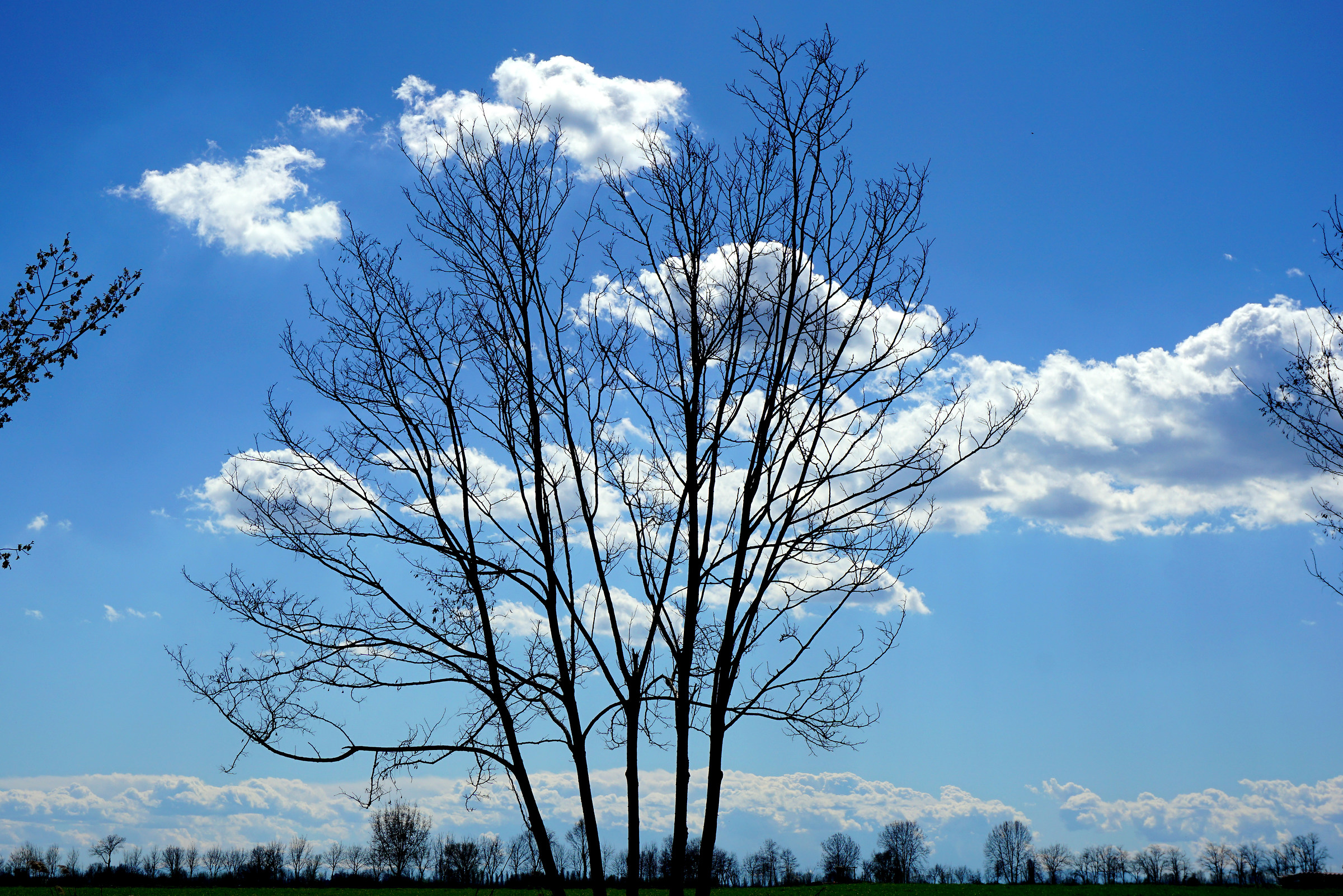 The friend of the clouds