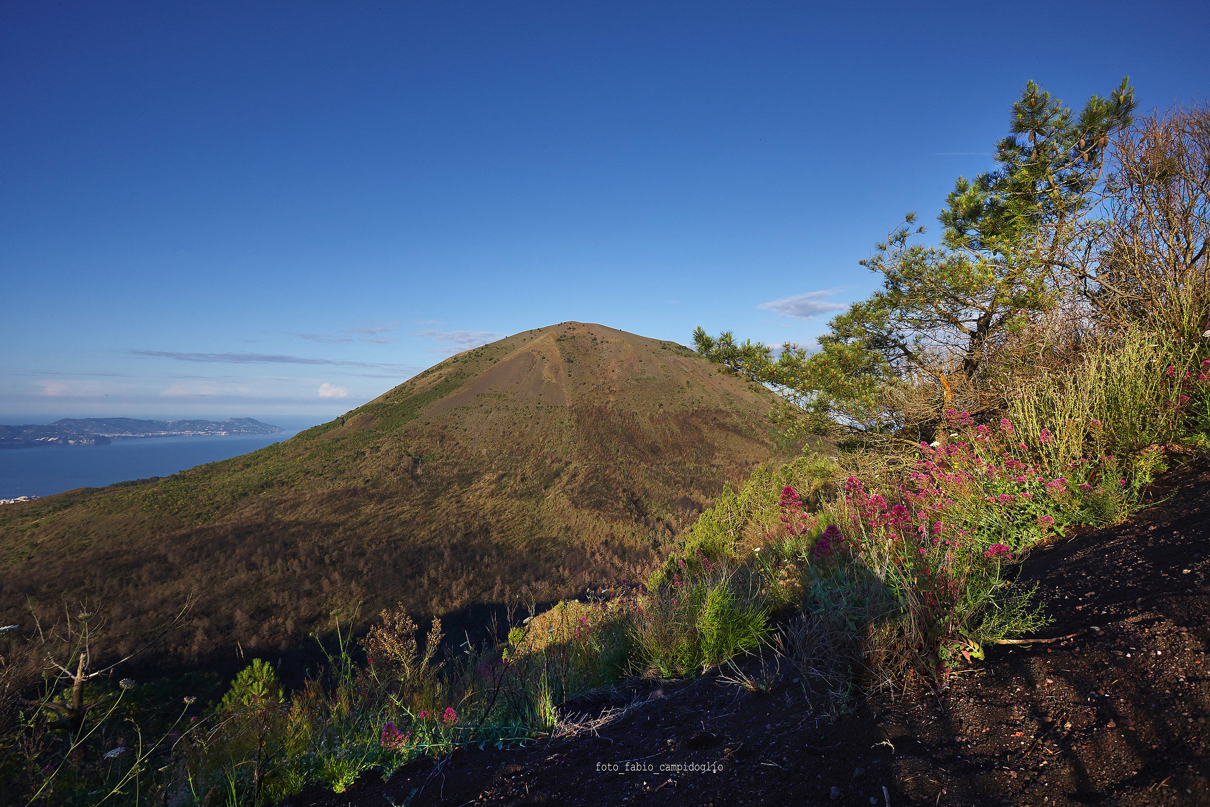 Vesuvius in Recovery 2