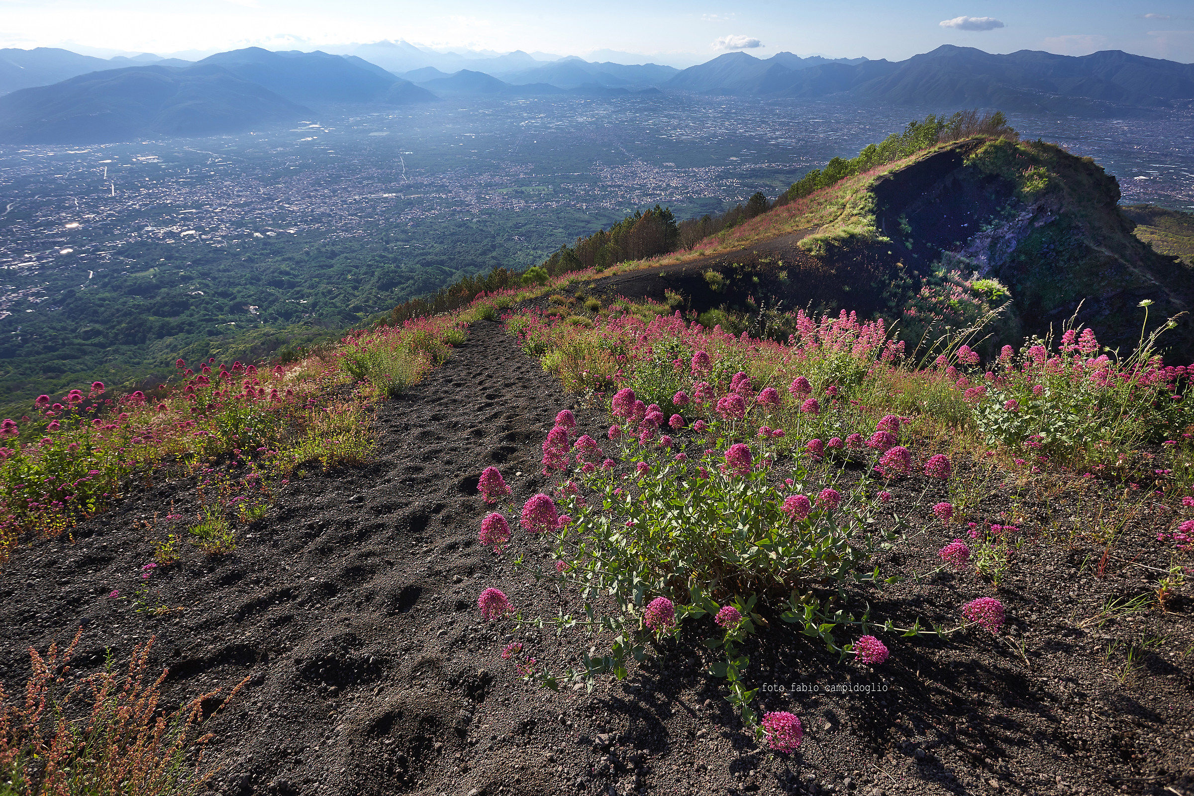 Vesuvius in Recovery 3