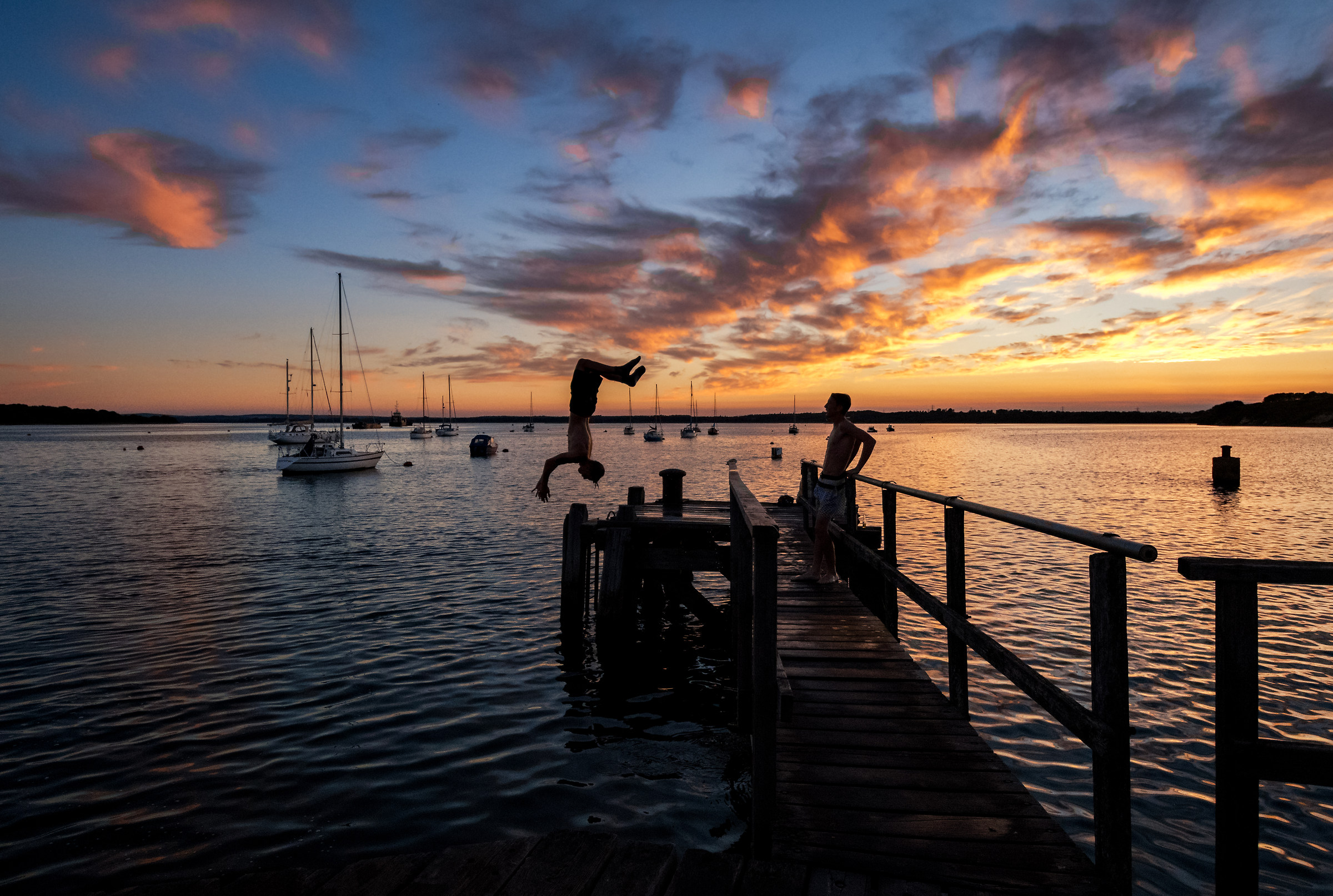 Capriola di tramonto